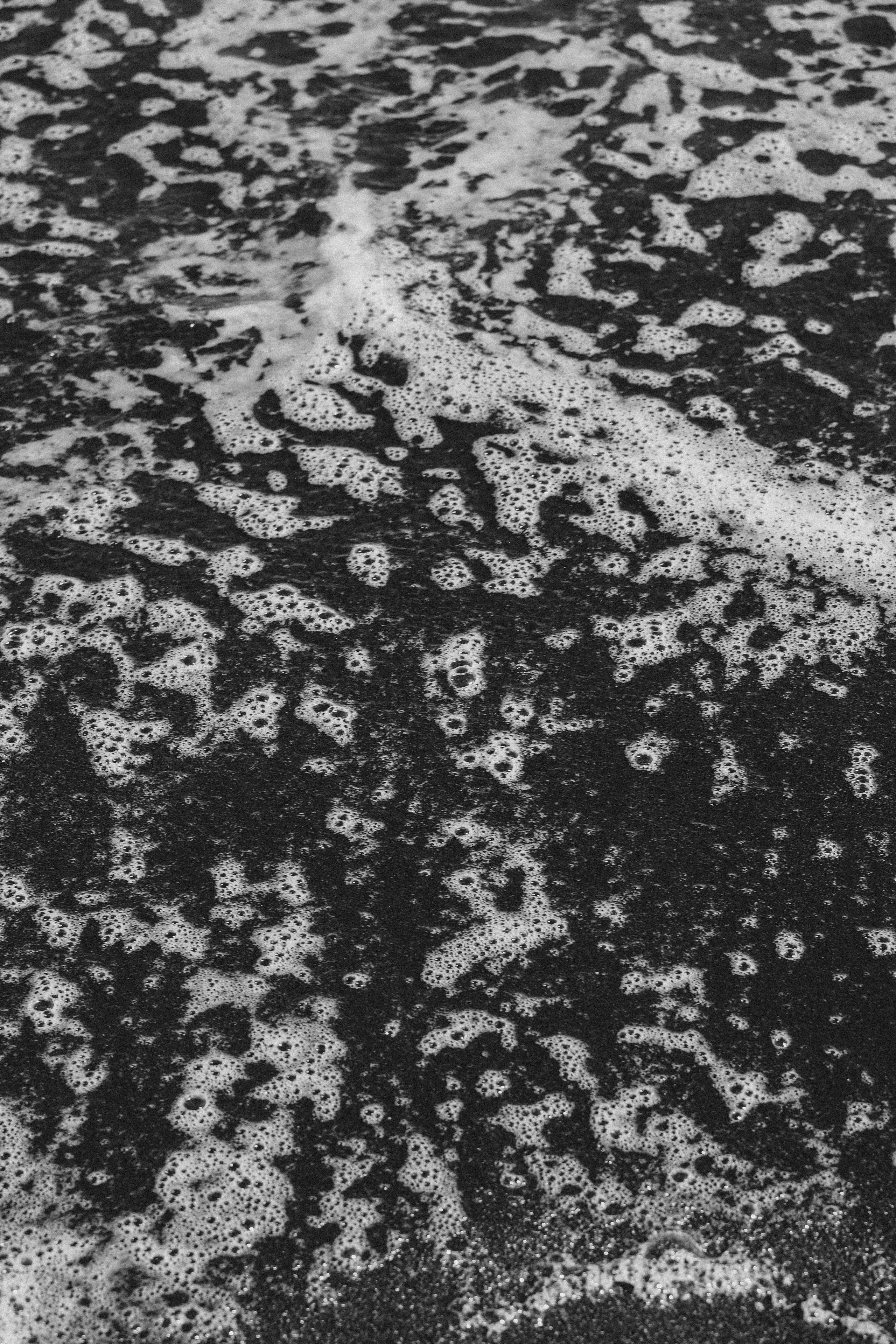 Тихий океан. Профессиональный фотограф, Санкт-Петербург — Виктория Богомолова