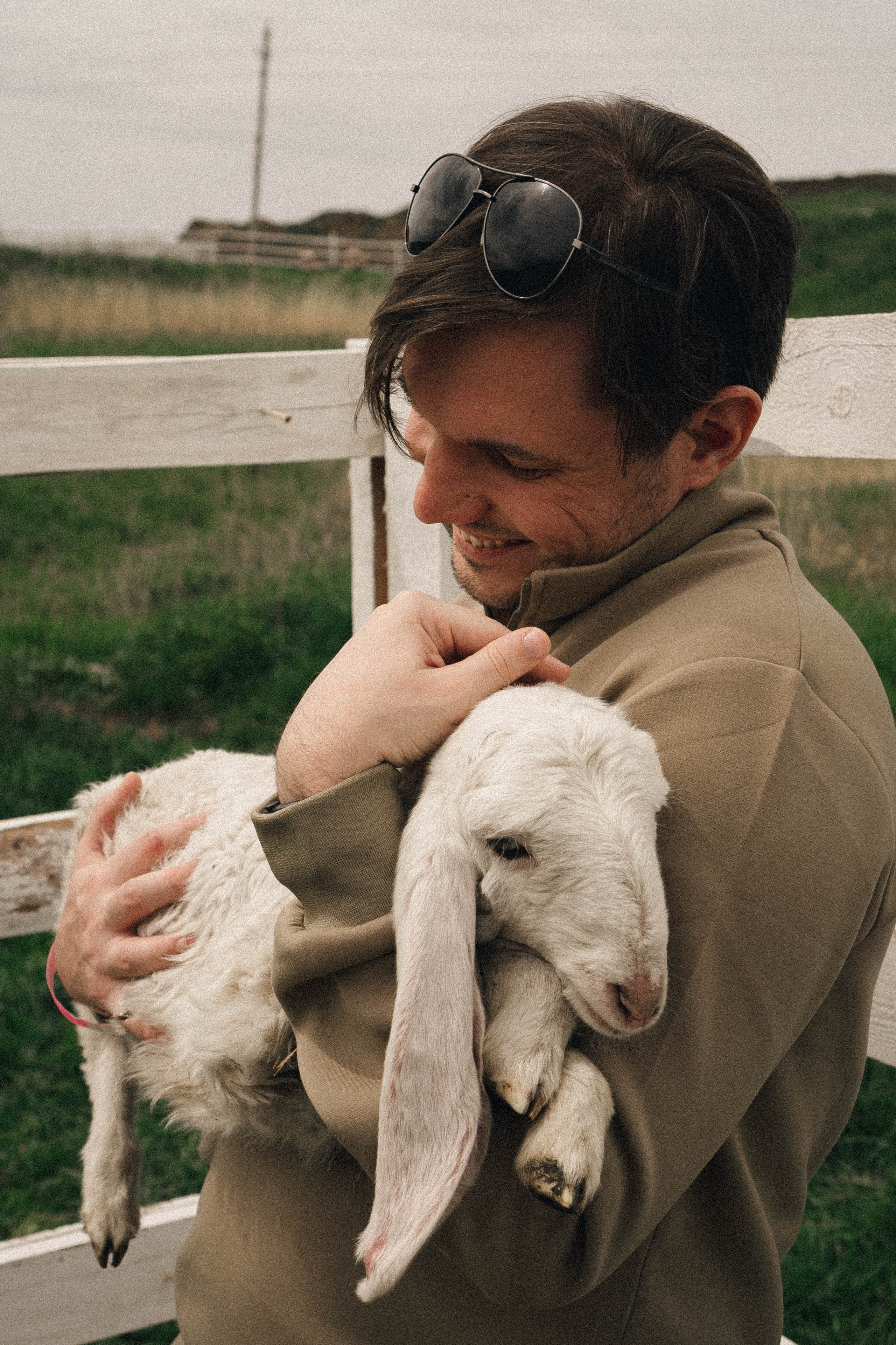 Ферма Альпак. Профессиональный фотограф, Санкт-Петербург — Виктория Богомолова