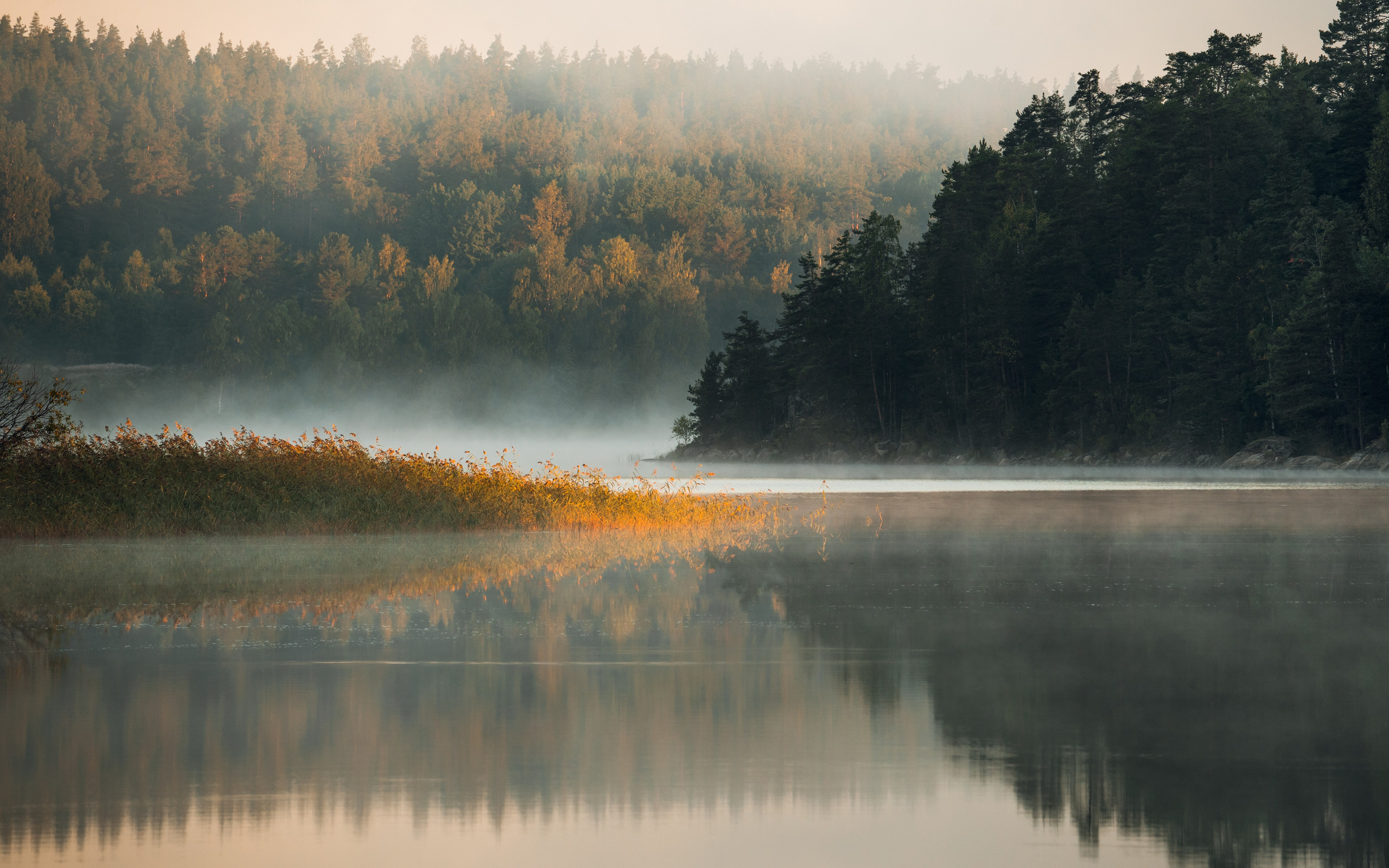 Ладога. Фотограф Александр Решня