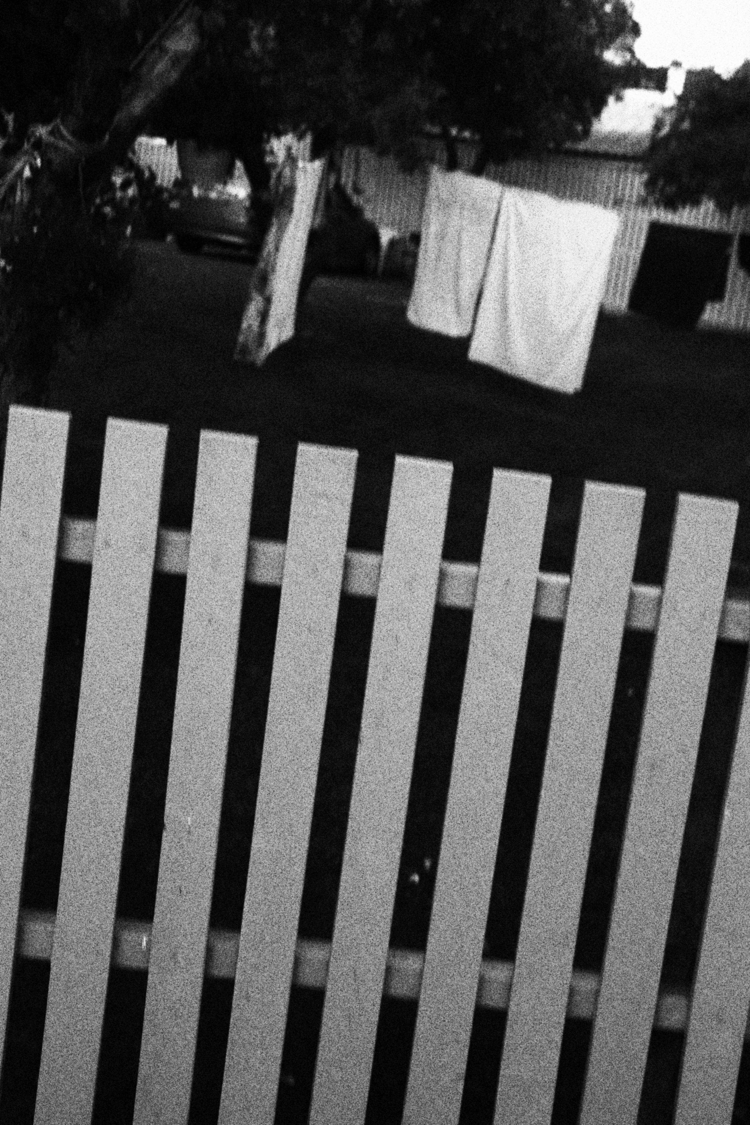 Kuresaaree. Juliarubis.com