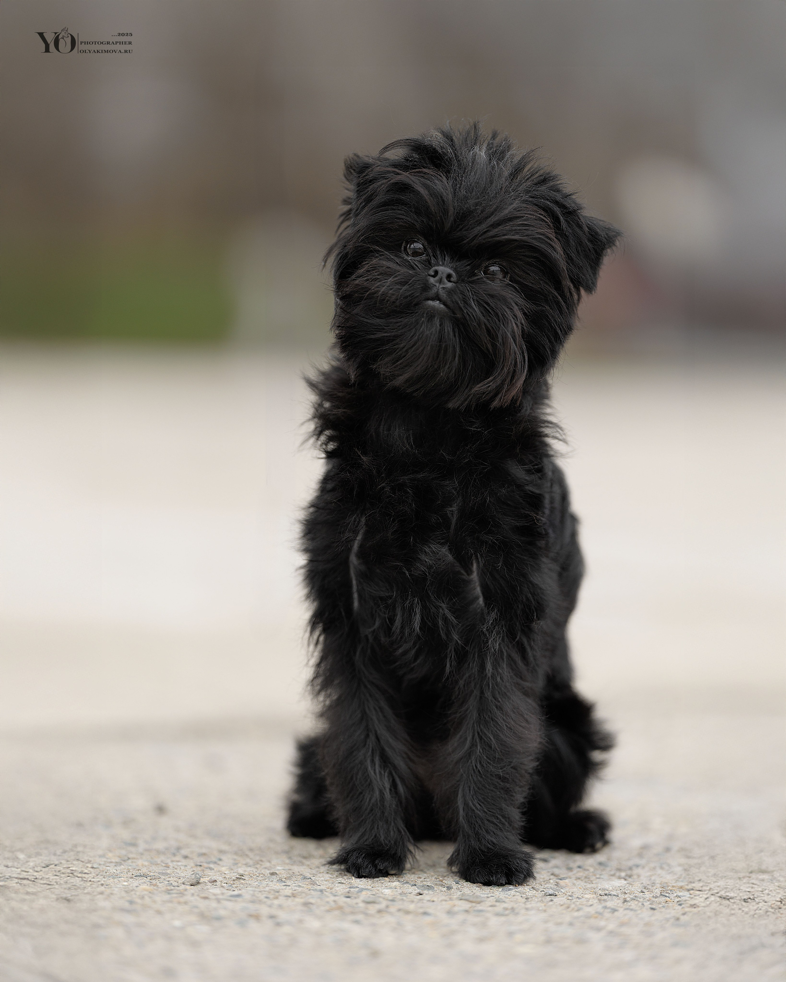 Экстерьер. Фотограф