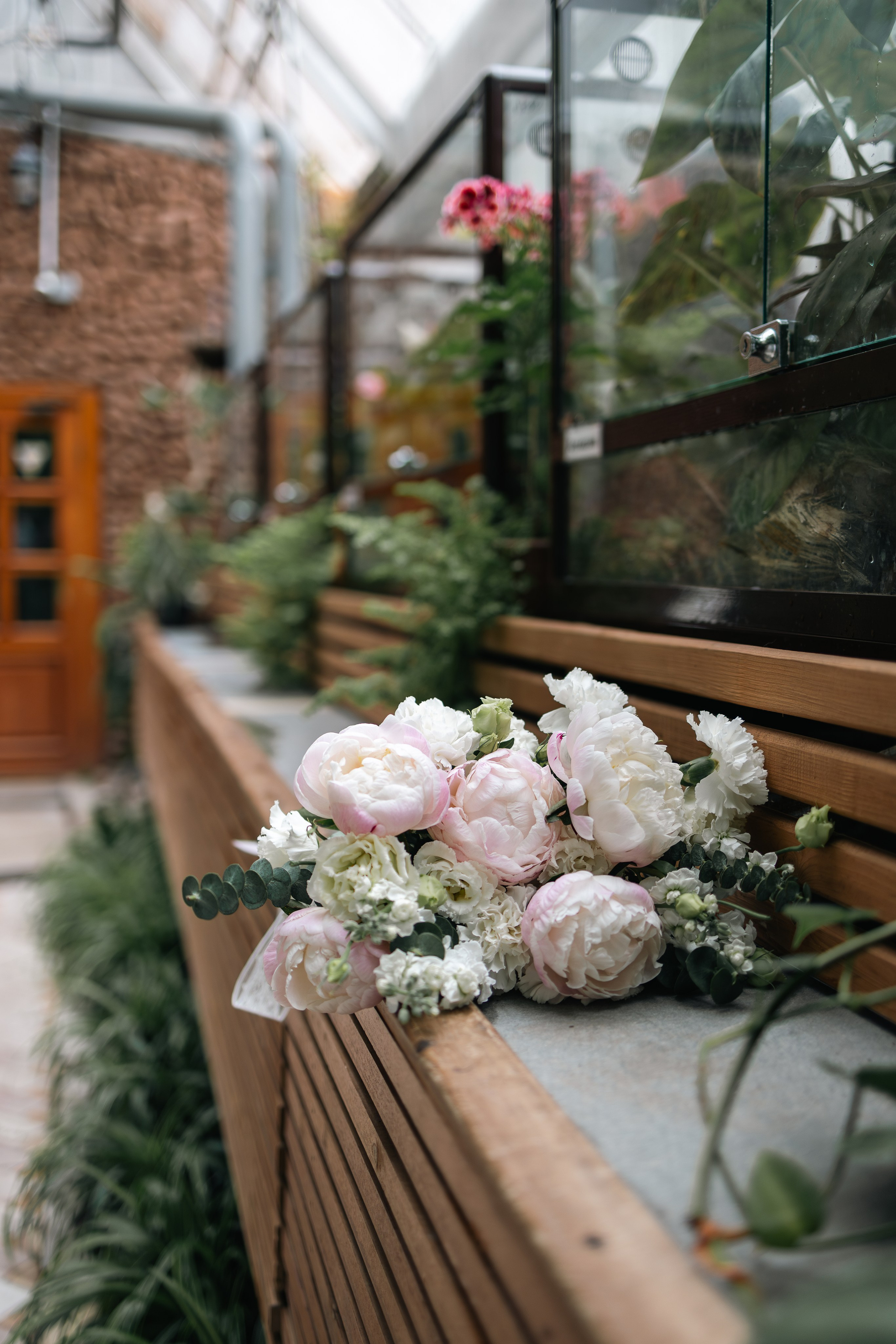 Анастасия и Никита. Екатерина Пашкова, фотограф, видеограф в Томске