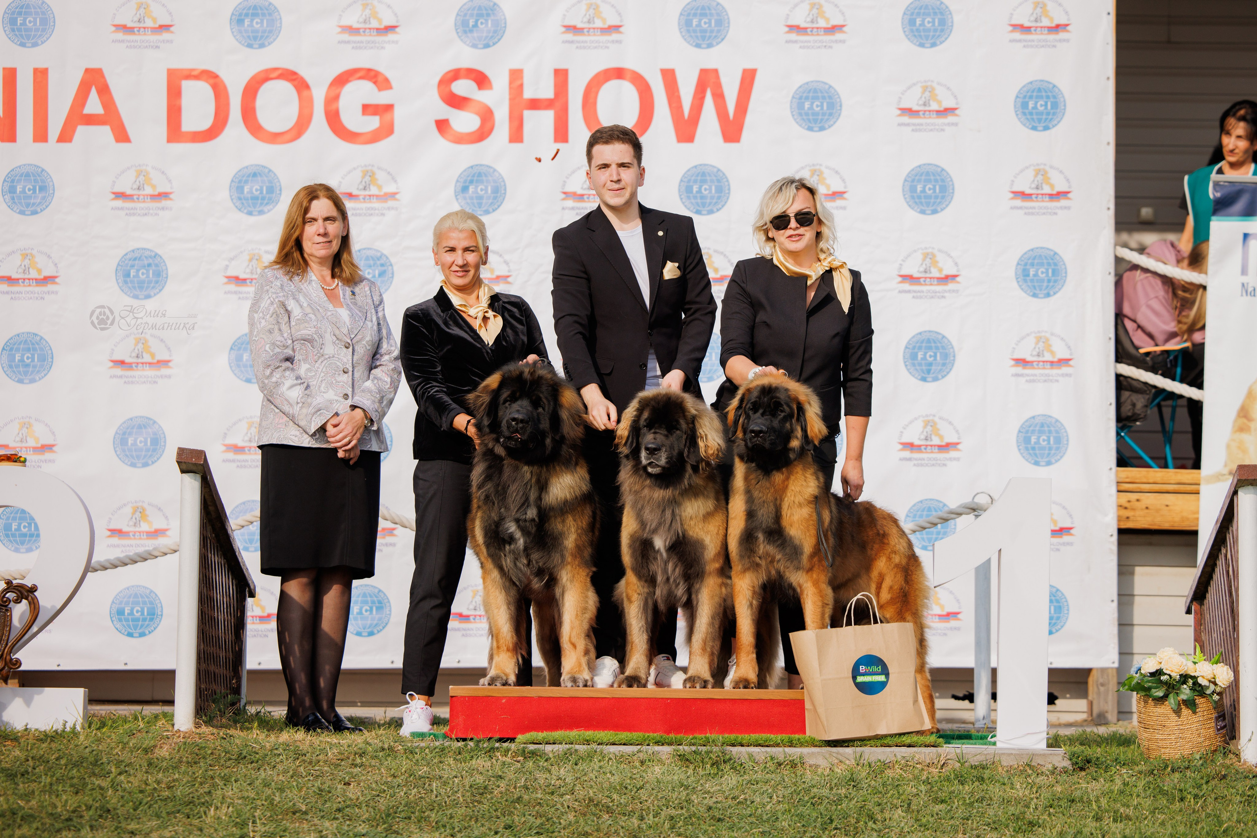 Армения,Ереван 3хCACIB 15-17.10.2024. Фотограф-анималист Юлия Германика