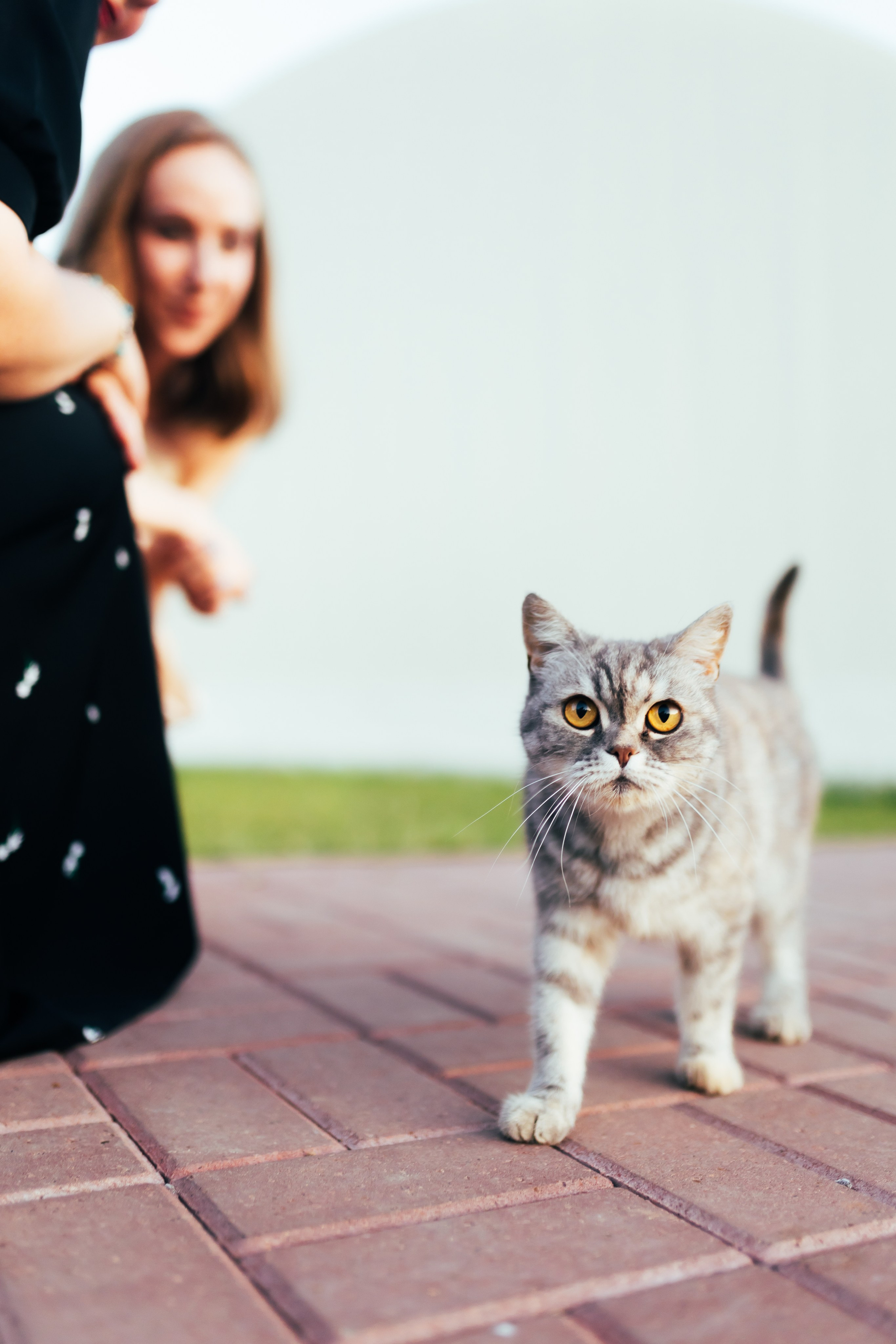 Серафима & Алекса