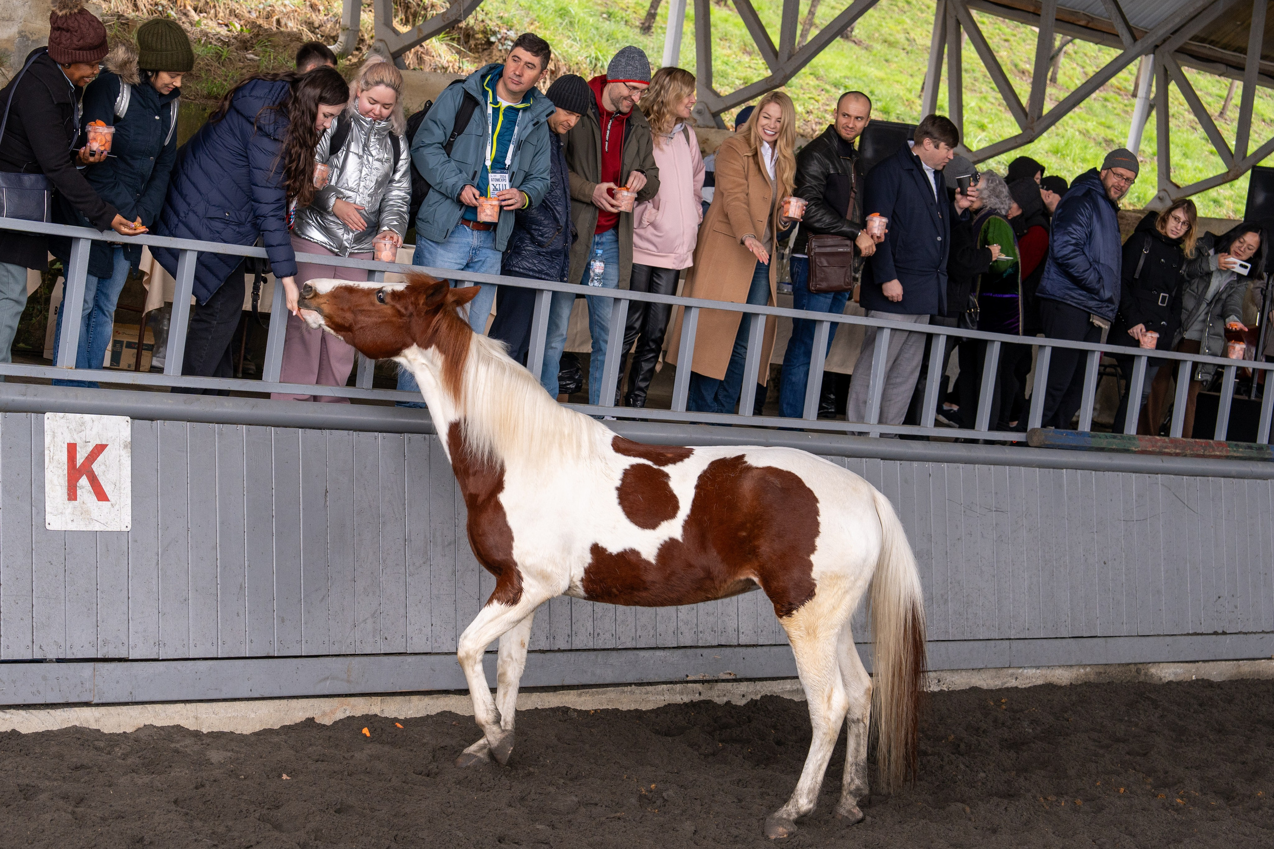 MICE мероприятие на ферме Экзархо. Репортажный фотограф в Красной Поляне и Сочи Павлюченко Екатерина