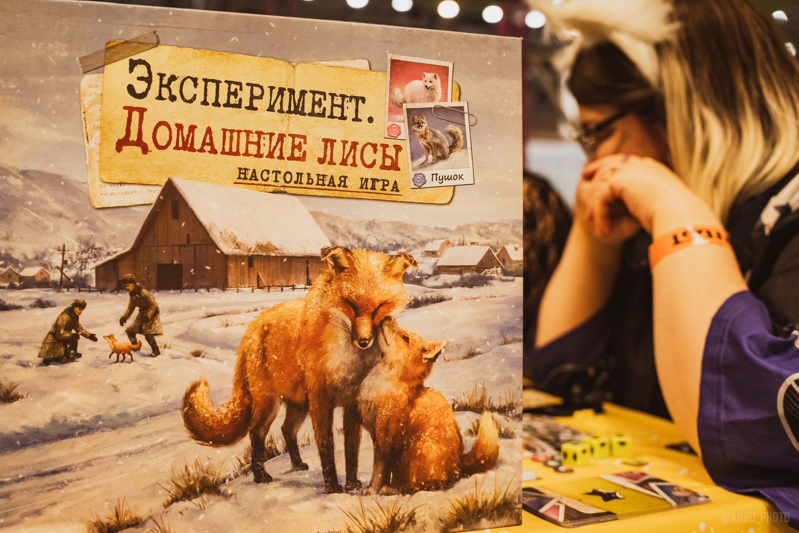 Fox Family fest. Репортажный фотограф Анастасия Рубцова