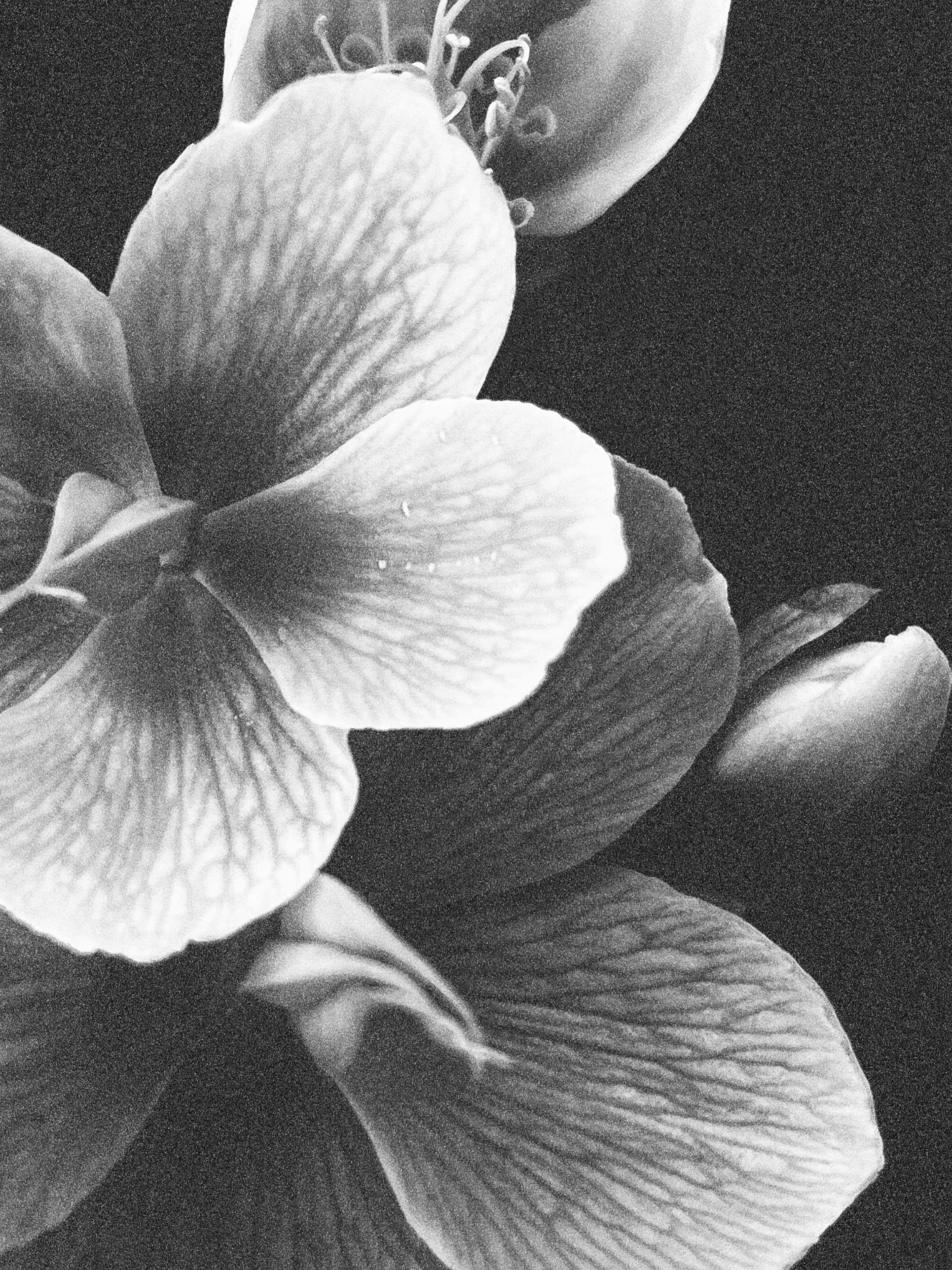 Интеллигентный фотограф