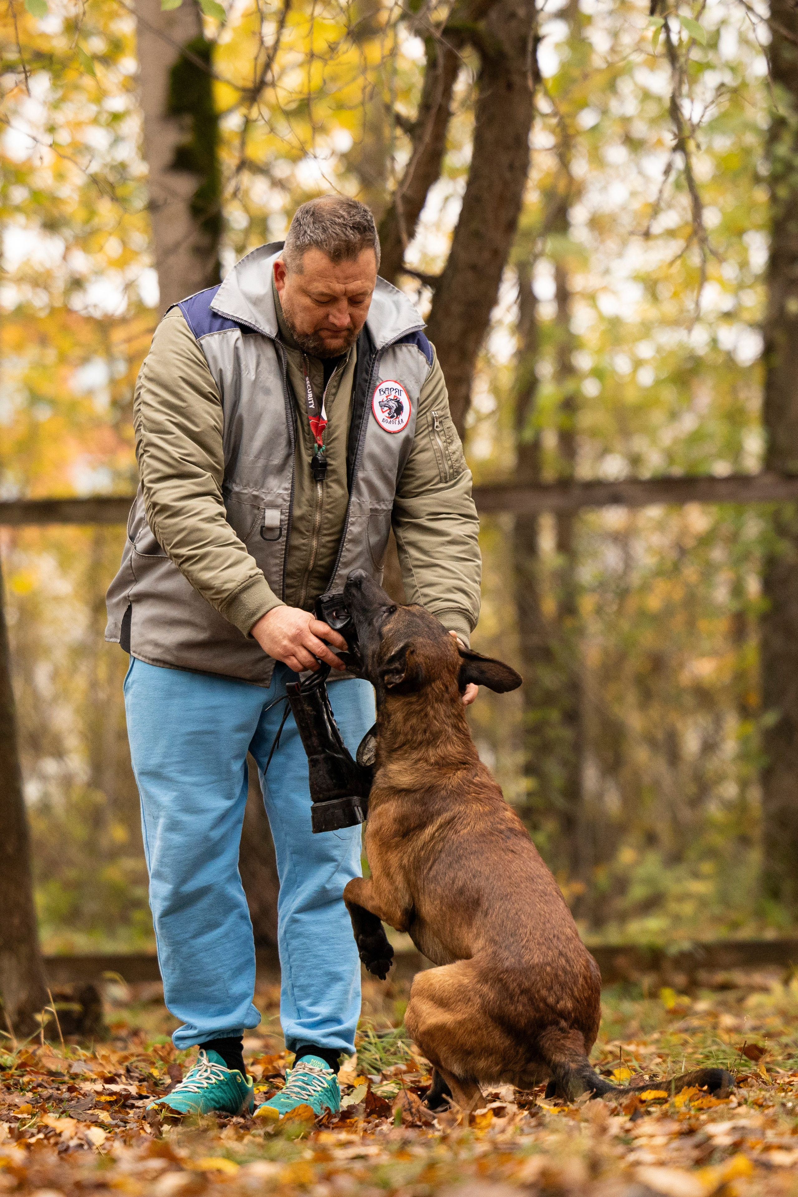 Соревнования по Мондьорингу г. Вологда. Фотограф-анималист Анна Маринич