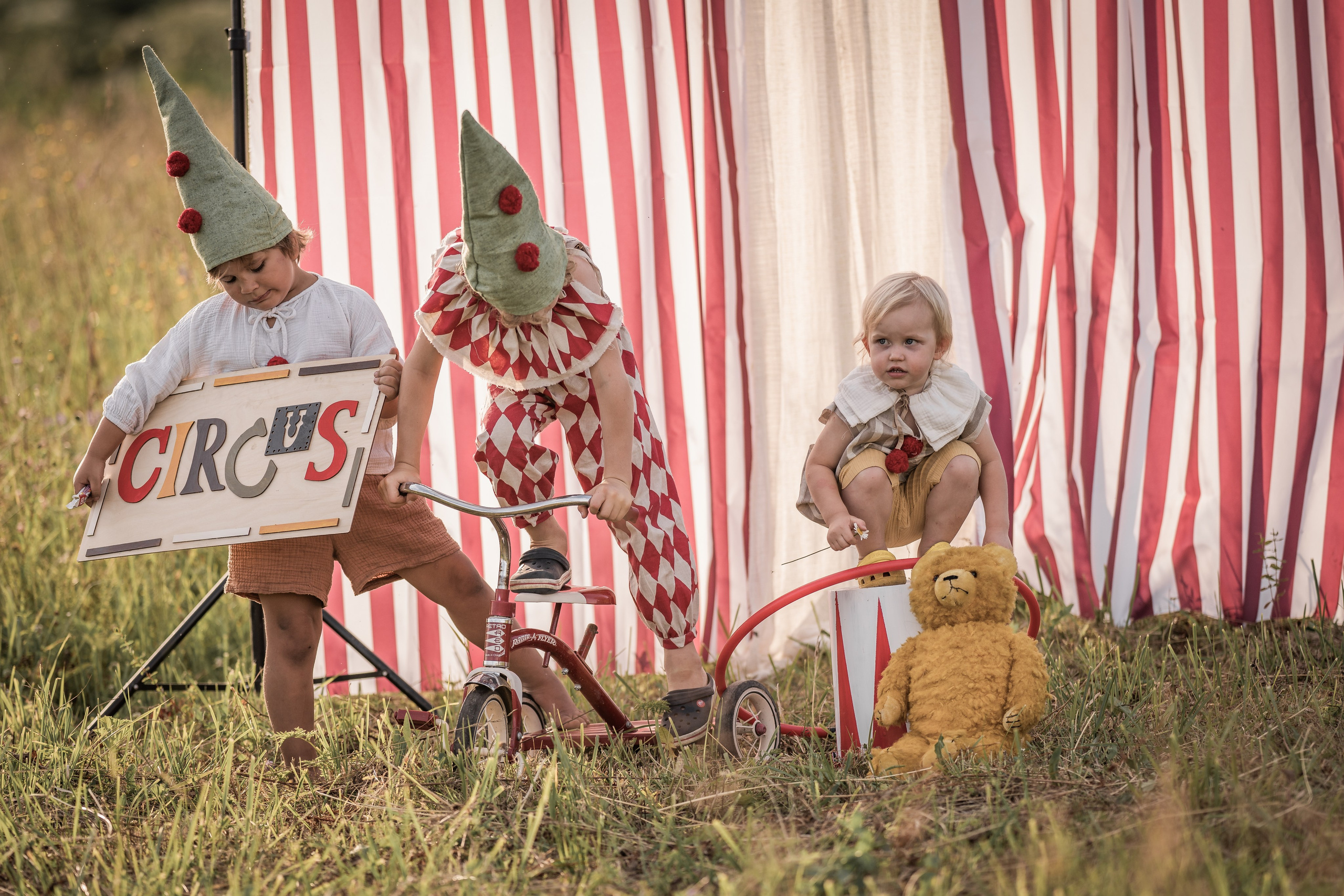 Цирк. Семейный фотограф Ефремова Виктория