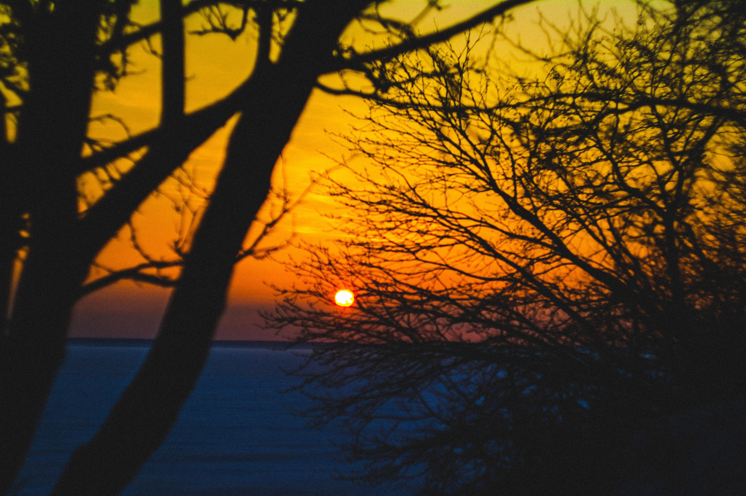 Narcissist. Den Mirov — Photographer, Musician