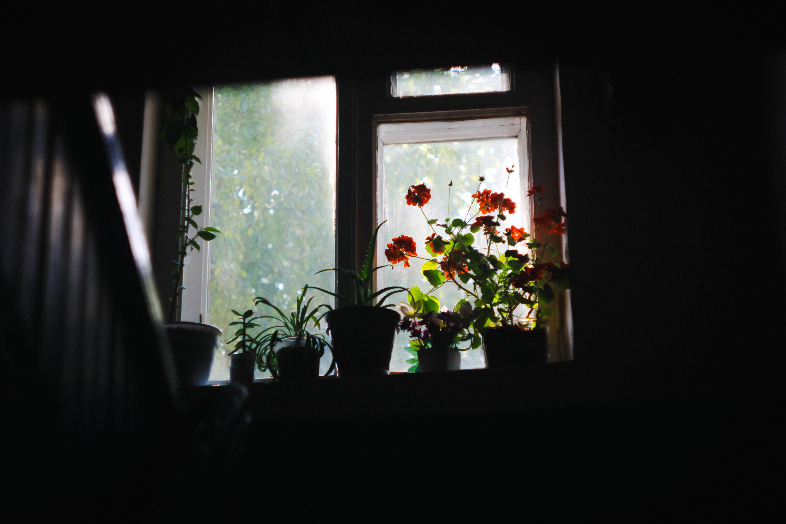 Конфликт. Den Mirov — Photographer, Musician