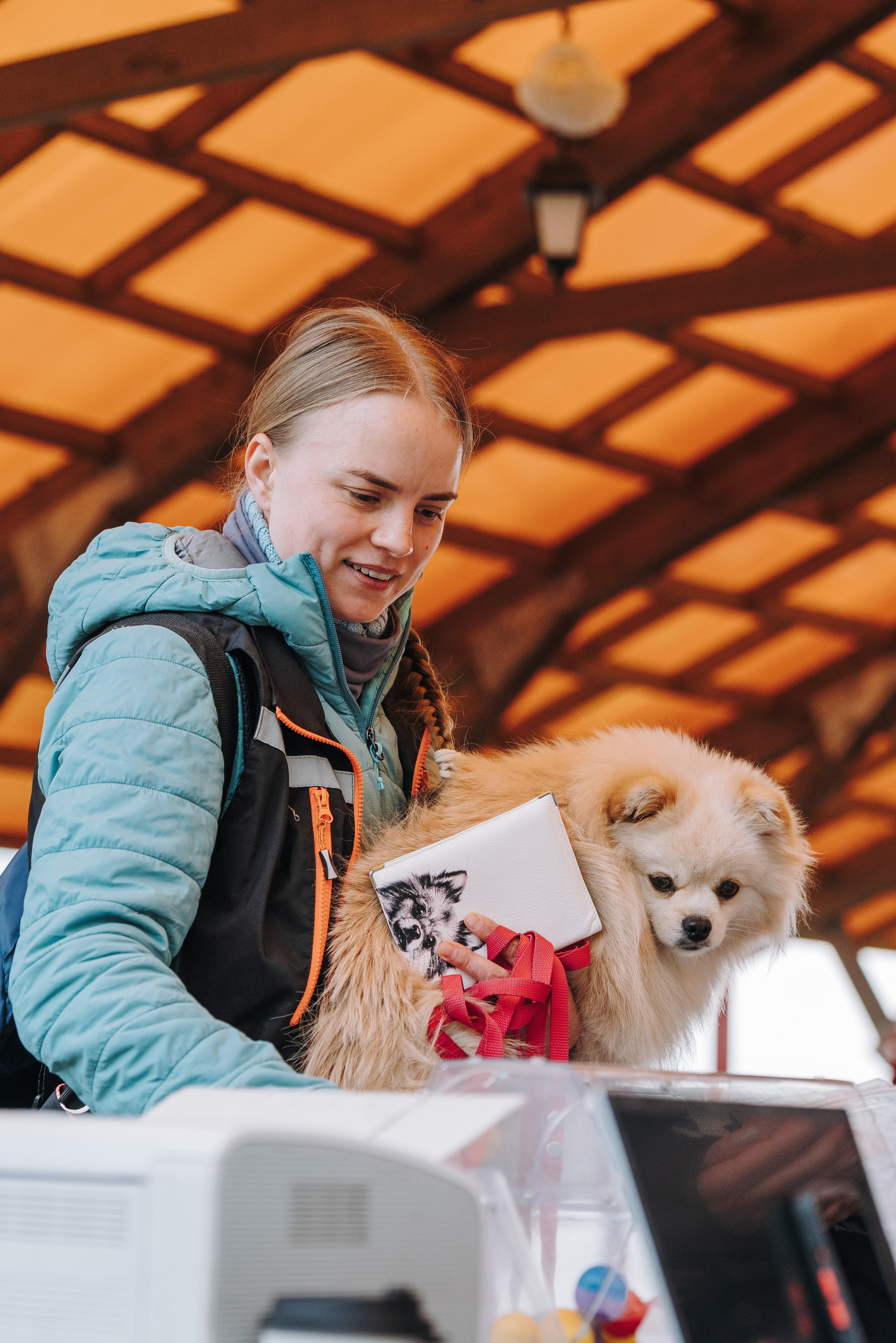 Соревнования по ноузворку в Лосево. Фотограф анималист в Спб недорого Олеся Майорова