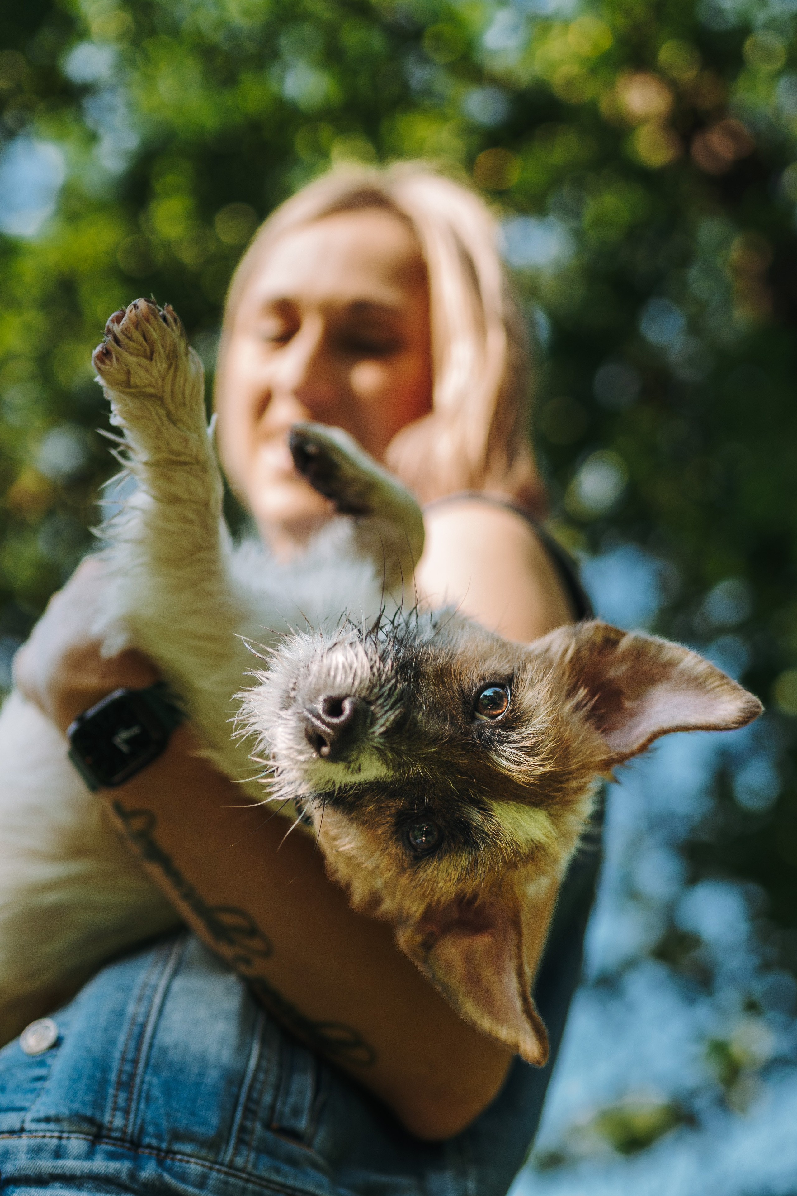 Ларс, Лукас и Ольга. Фотограф анималист в Спб недорого Олеся Майорова