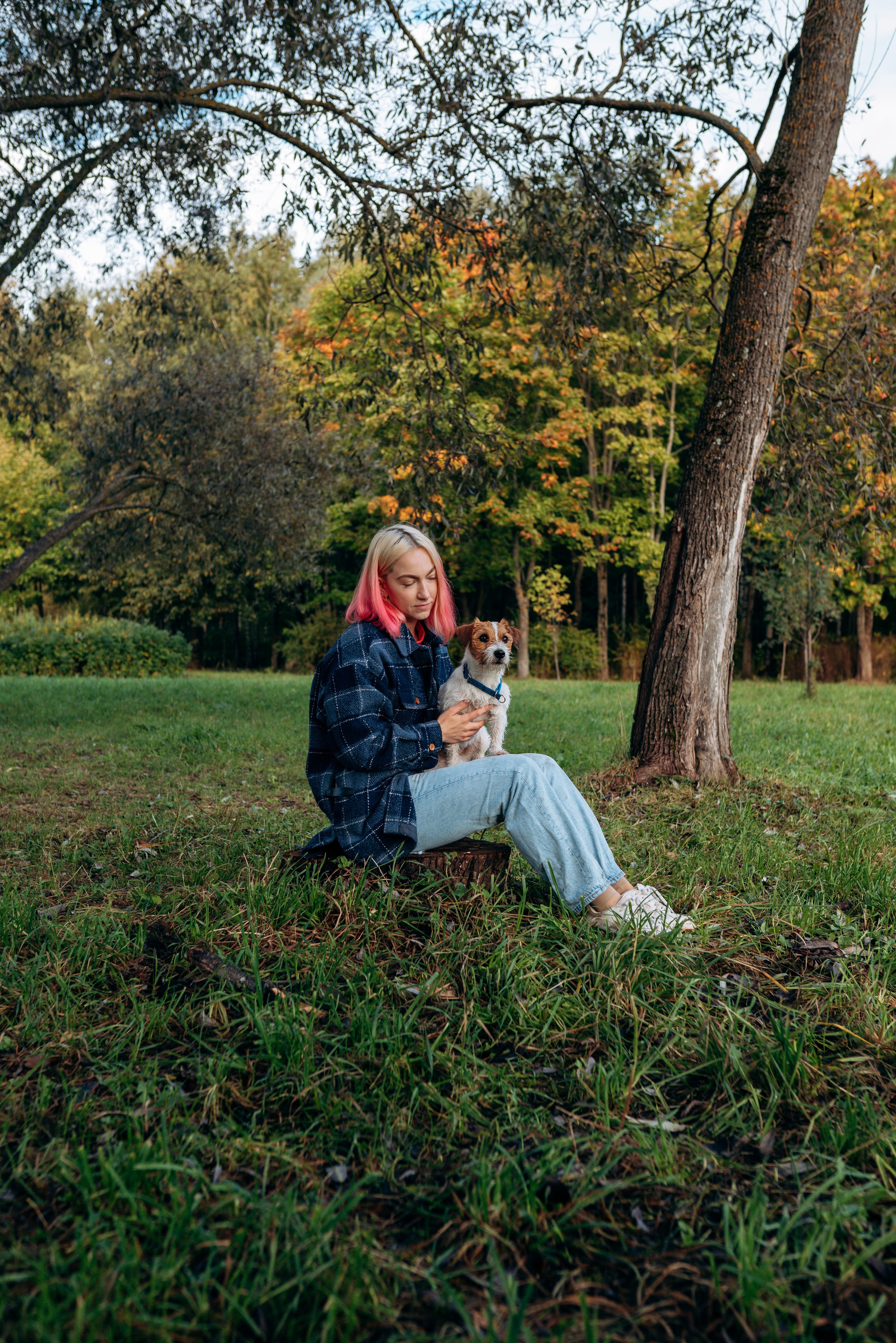 Фотосессия с маленькой собакой Спб. Фотограф анималист в Спб недорого Олеся Майорова