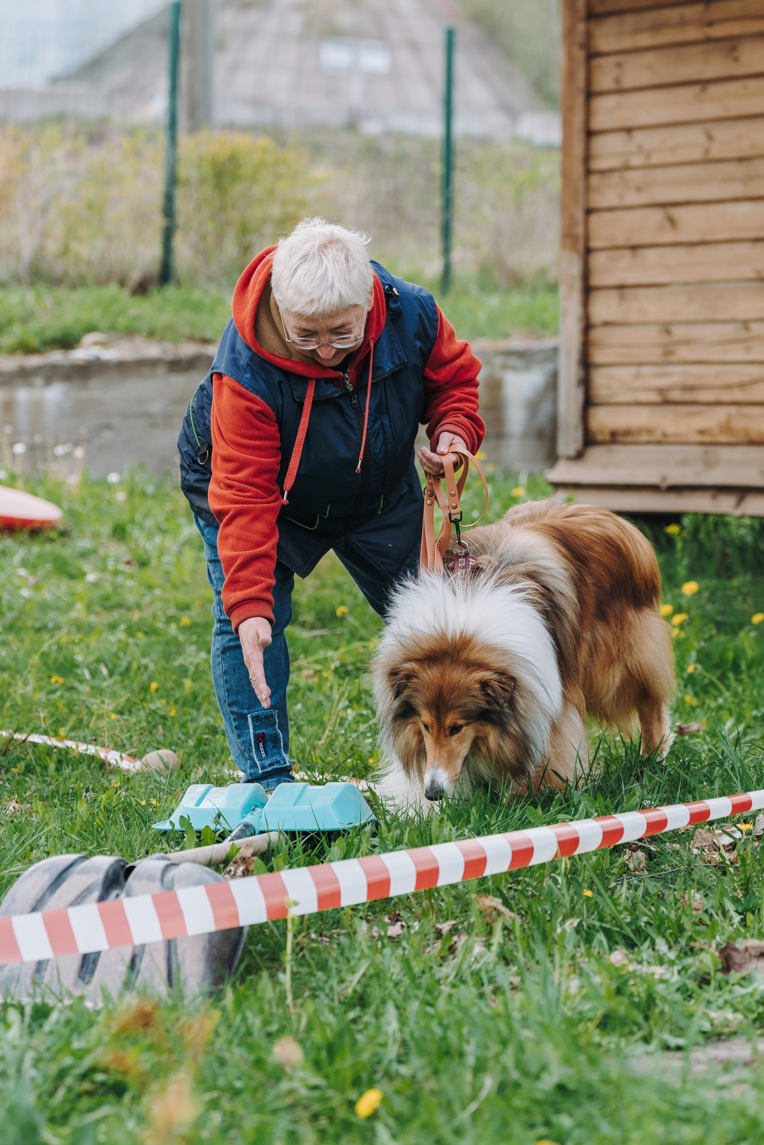 Соревнования по ноузворку в Лосево. Фотограф анималист в Спб недорого Олеся Майорова