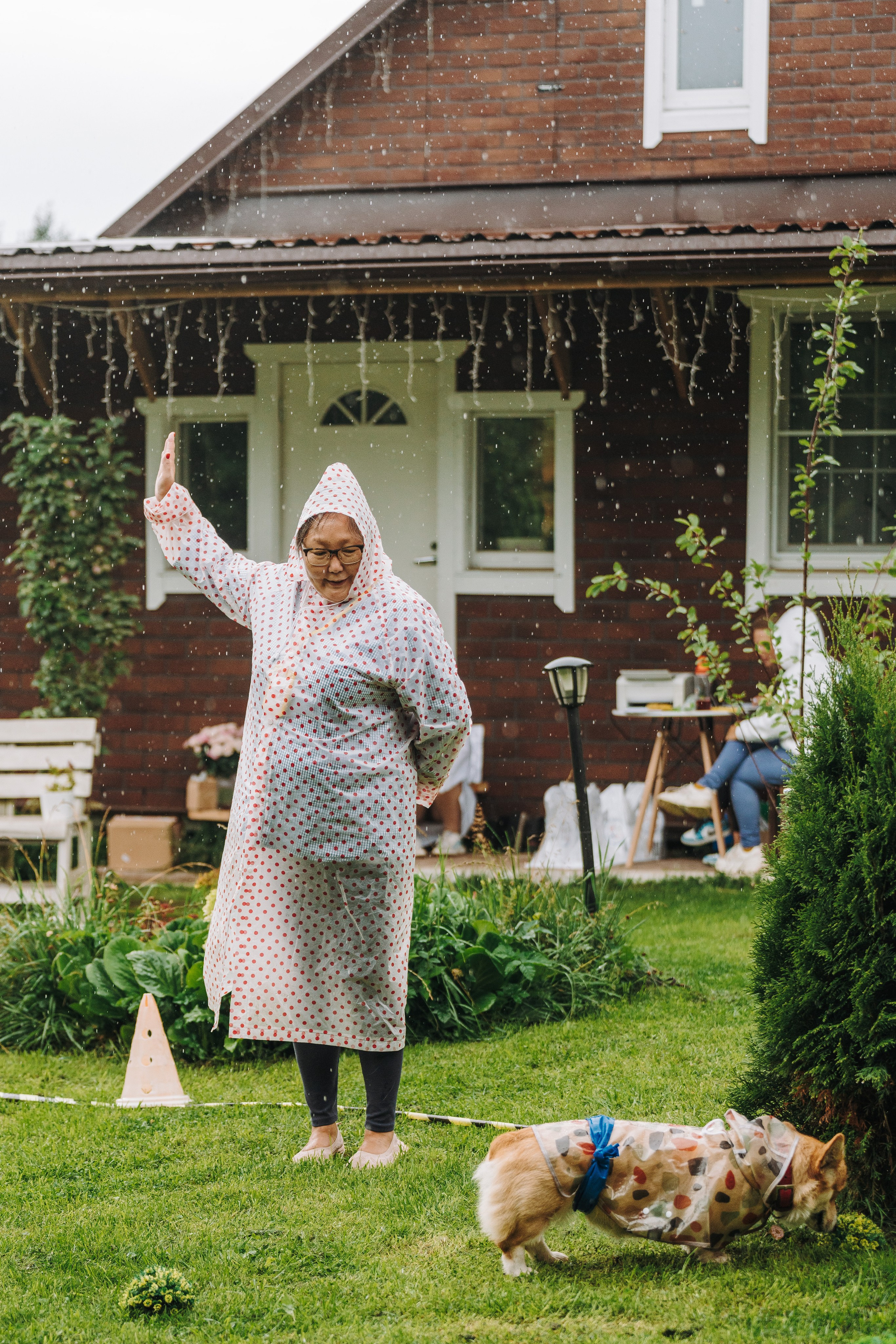 Соревнования по ноузворку в Новожилово. Фотограф анималист в Спб недорого Олеся Майорова