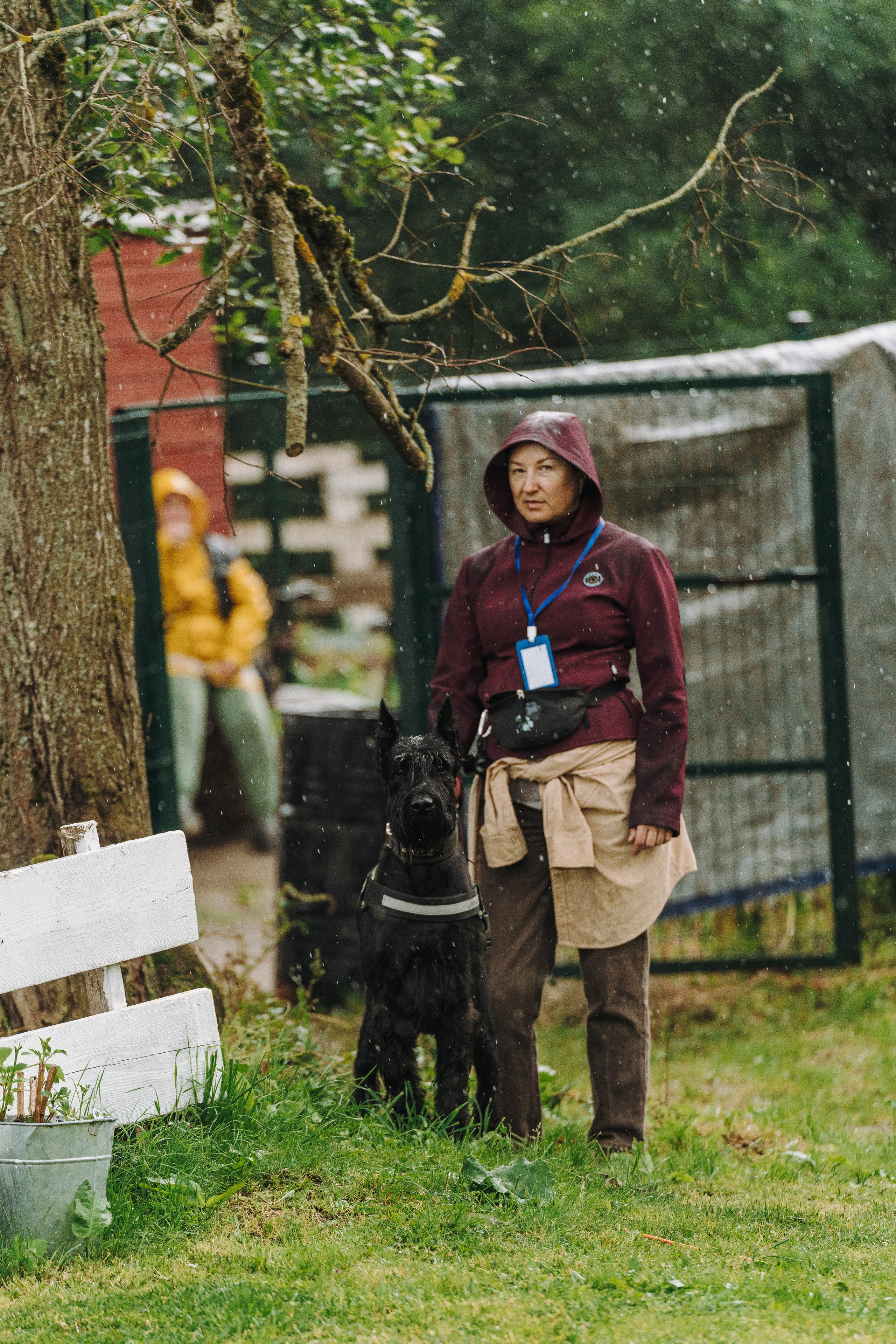Соревнования по ноузворку в Новожилово. Фотограф анималист в Спб недорого Олеся Майорова