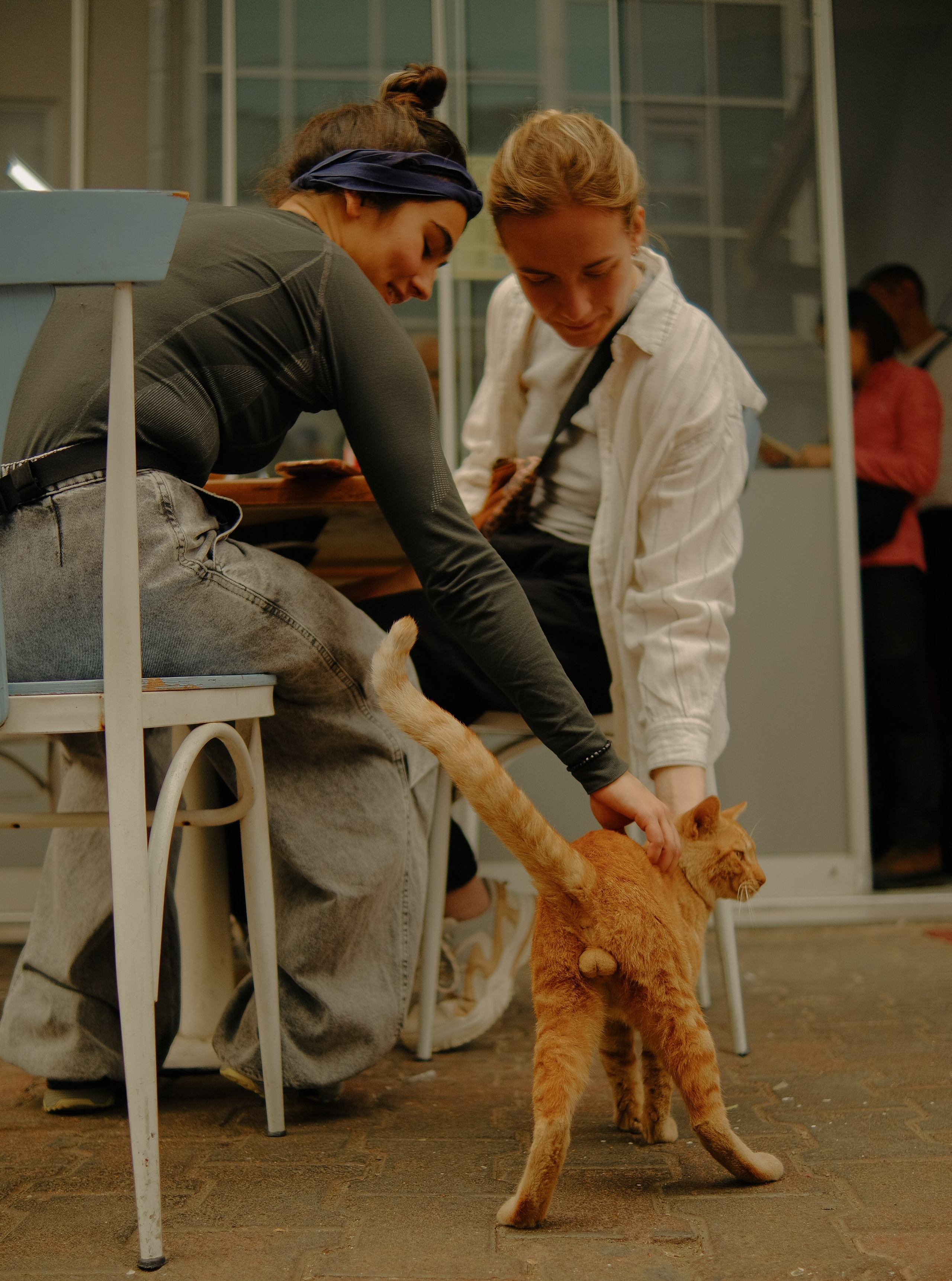 Lycian Way: Turkey. Обо мне