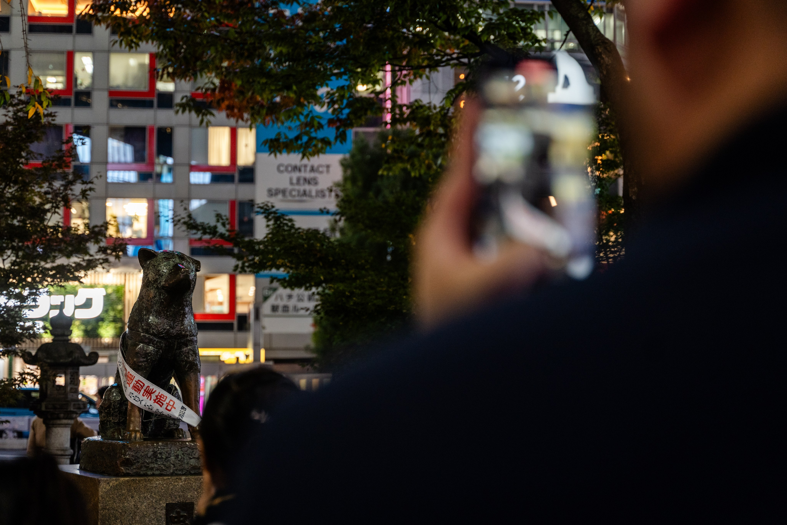 Фототур в Японию