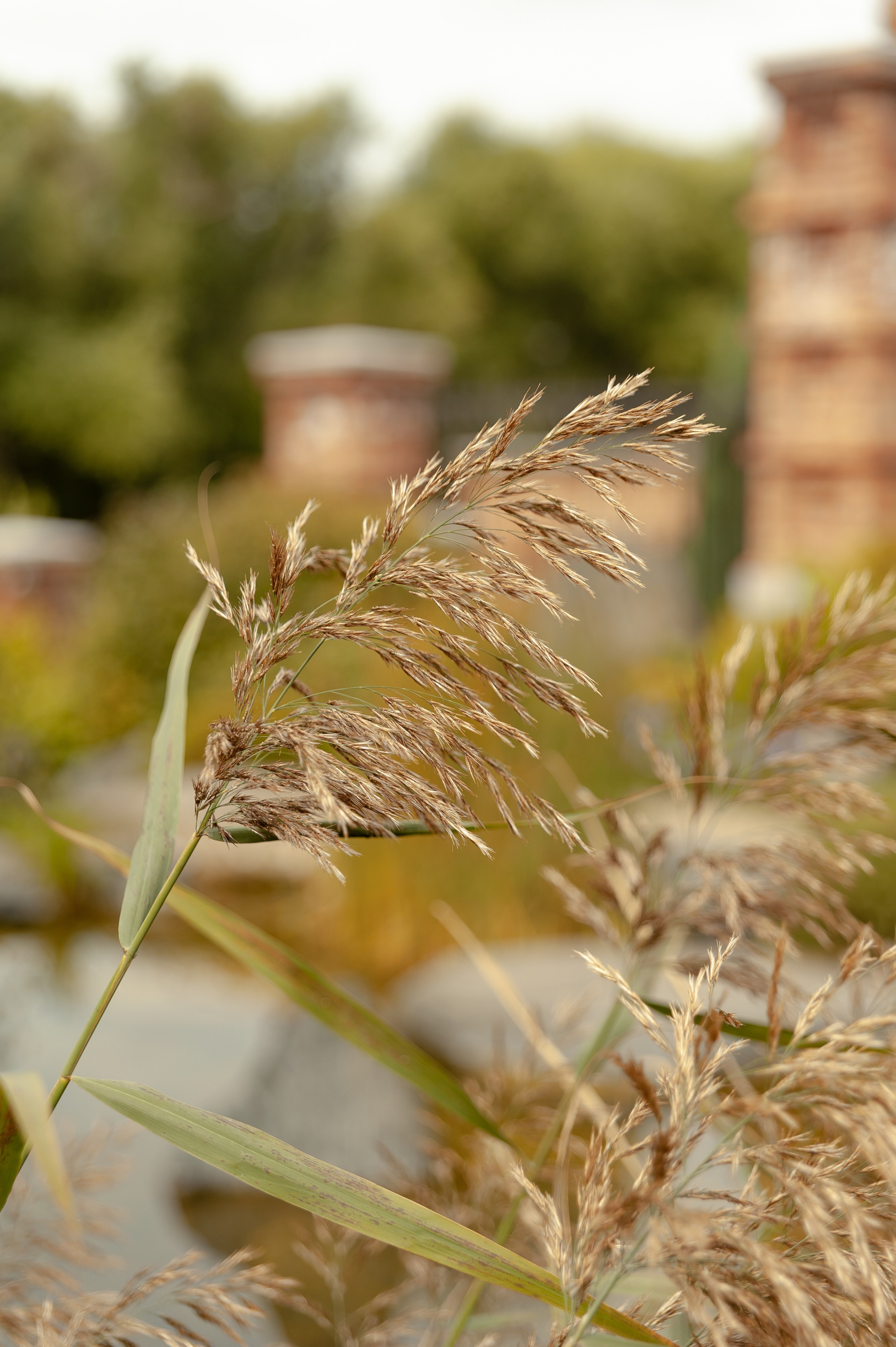 Максим и Геля. Фотограф в Екатеринбурге Артём Зайнетдинов
