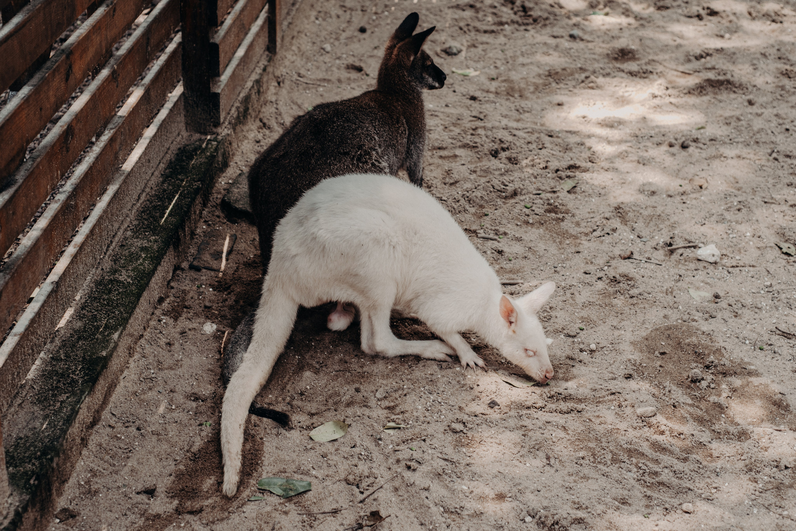 Рекламный фотограф из Гуанчжоу: вдохновение в улицах Шанхая. Коммерческий и предметный фотограф в Гуанчжоу Коваленко Александр