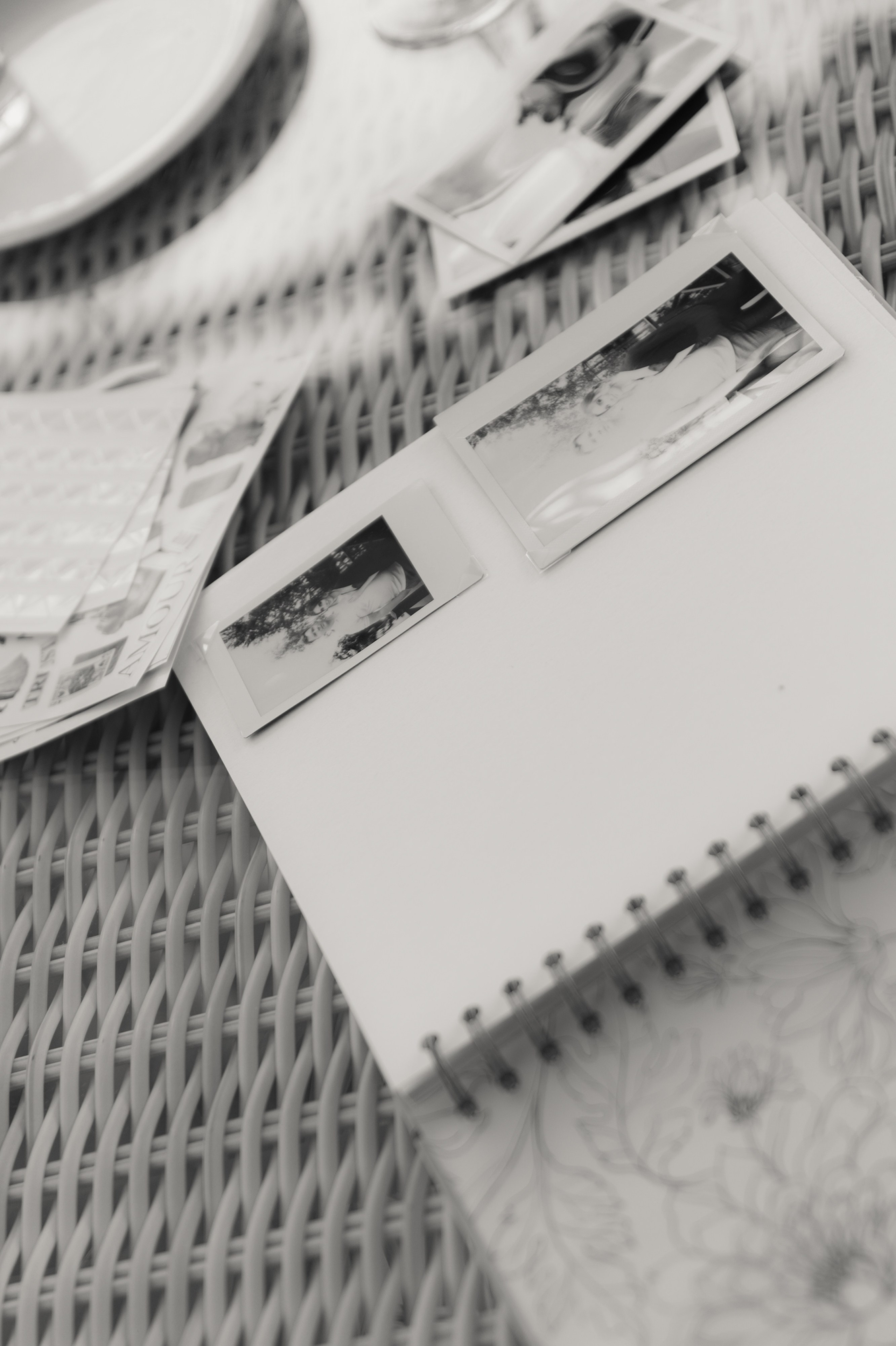 Свадебное торжество в загородном комплексе «Теплица Парк». Ярослава Ерина — свадебный фотограф в Москве