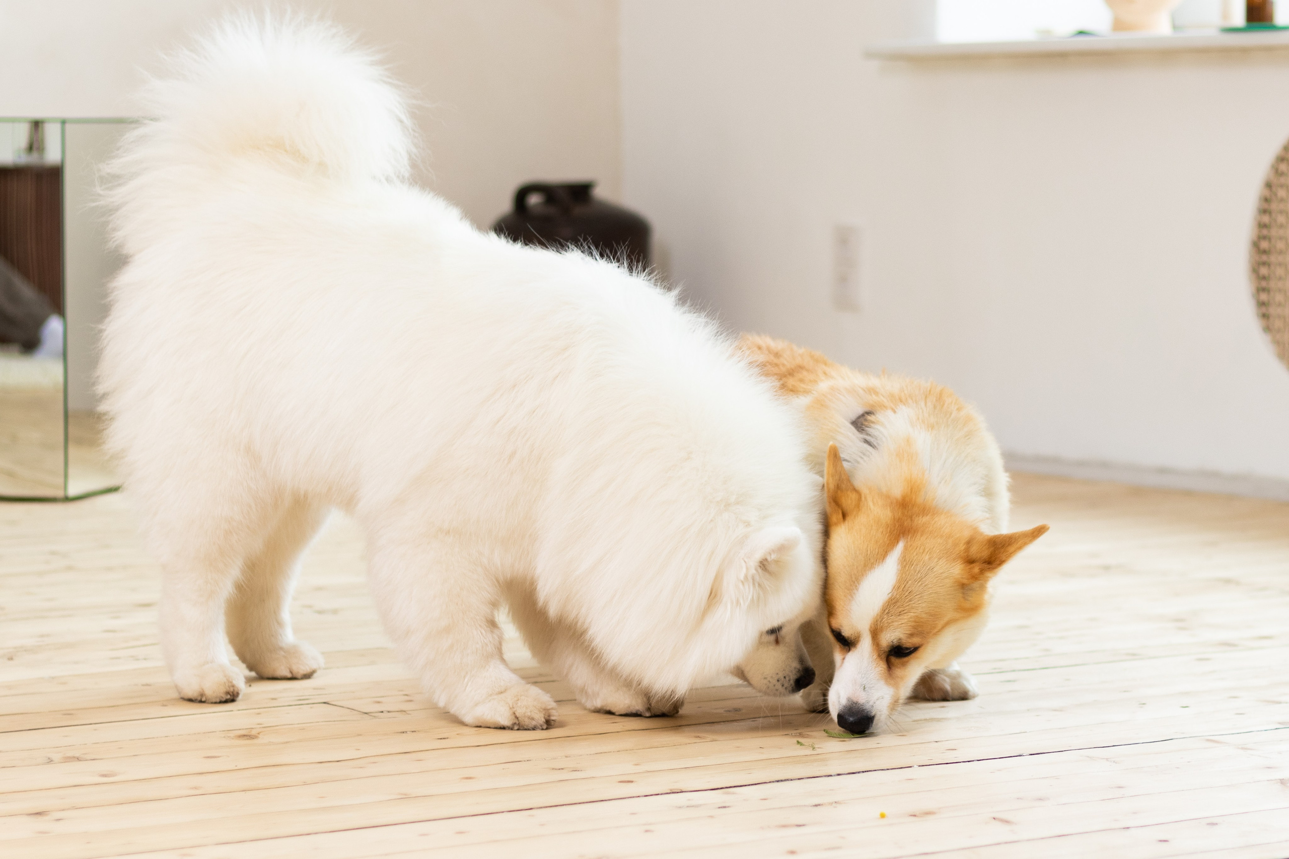 Оля, Дима и Оливия. Кристина | youseeitmyway | Фото