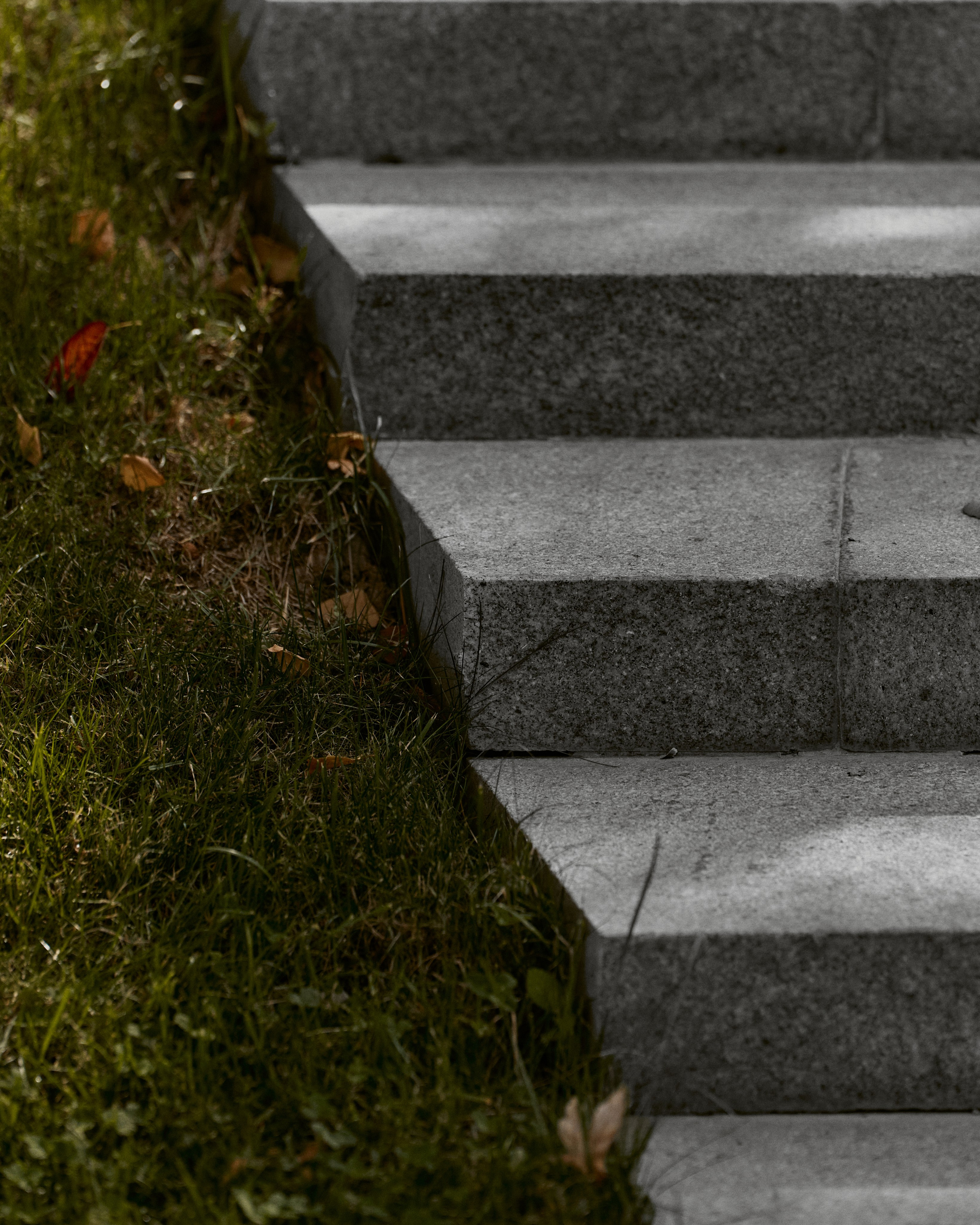 CORNUS. Фотограф Москва Сергей Громов