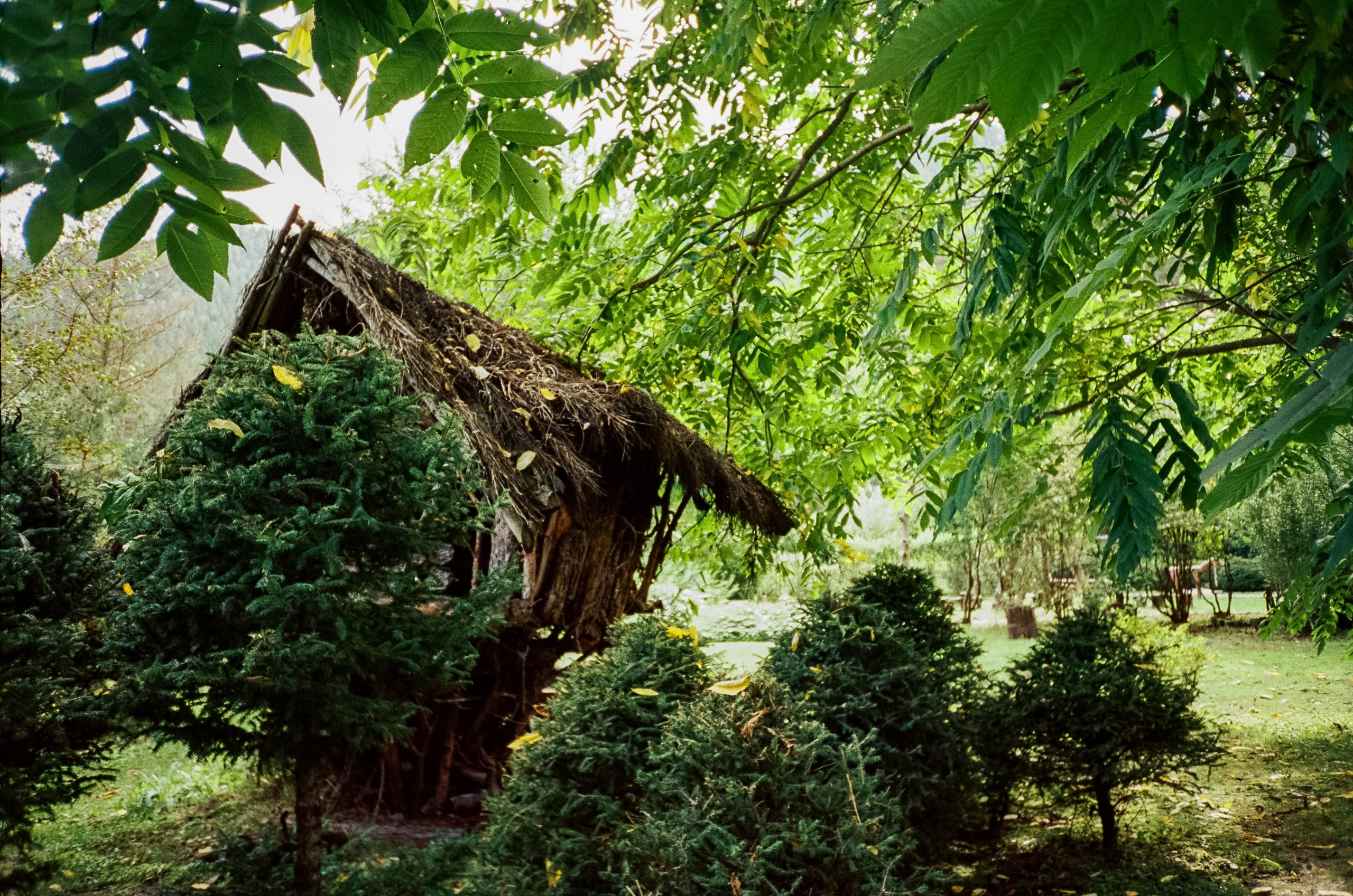 Ботанический сад и река Сема. Фотограф-документалист Мария Осокина