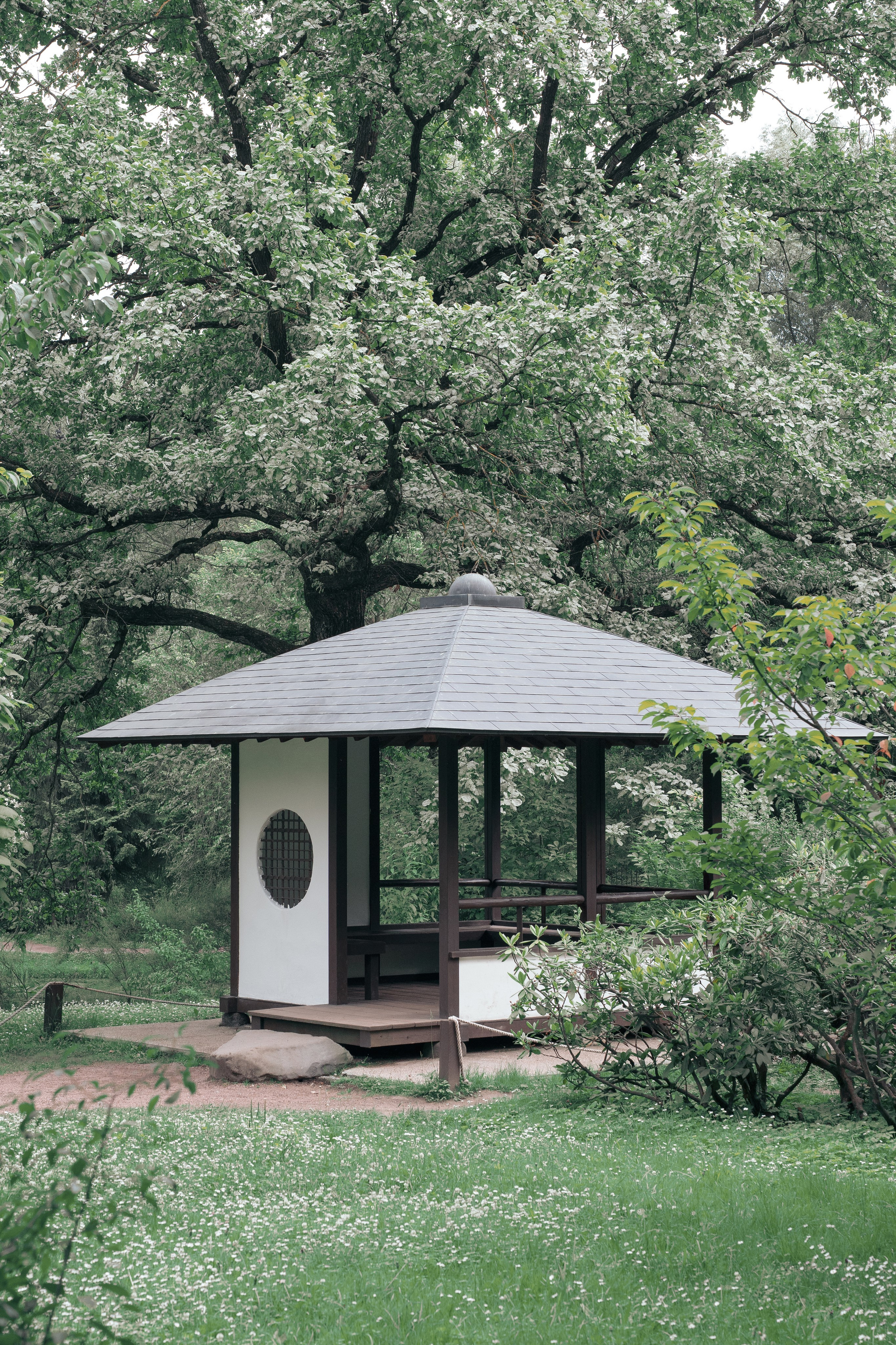 JAPANESE GARDEN. Anne Demia