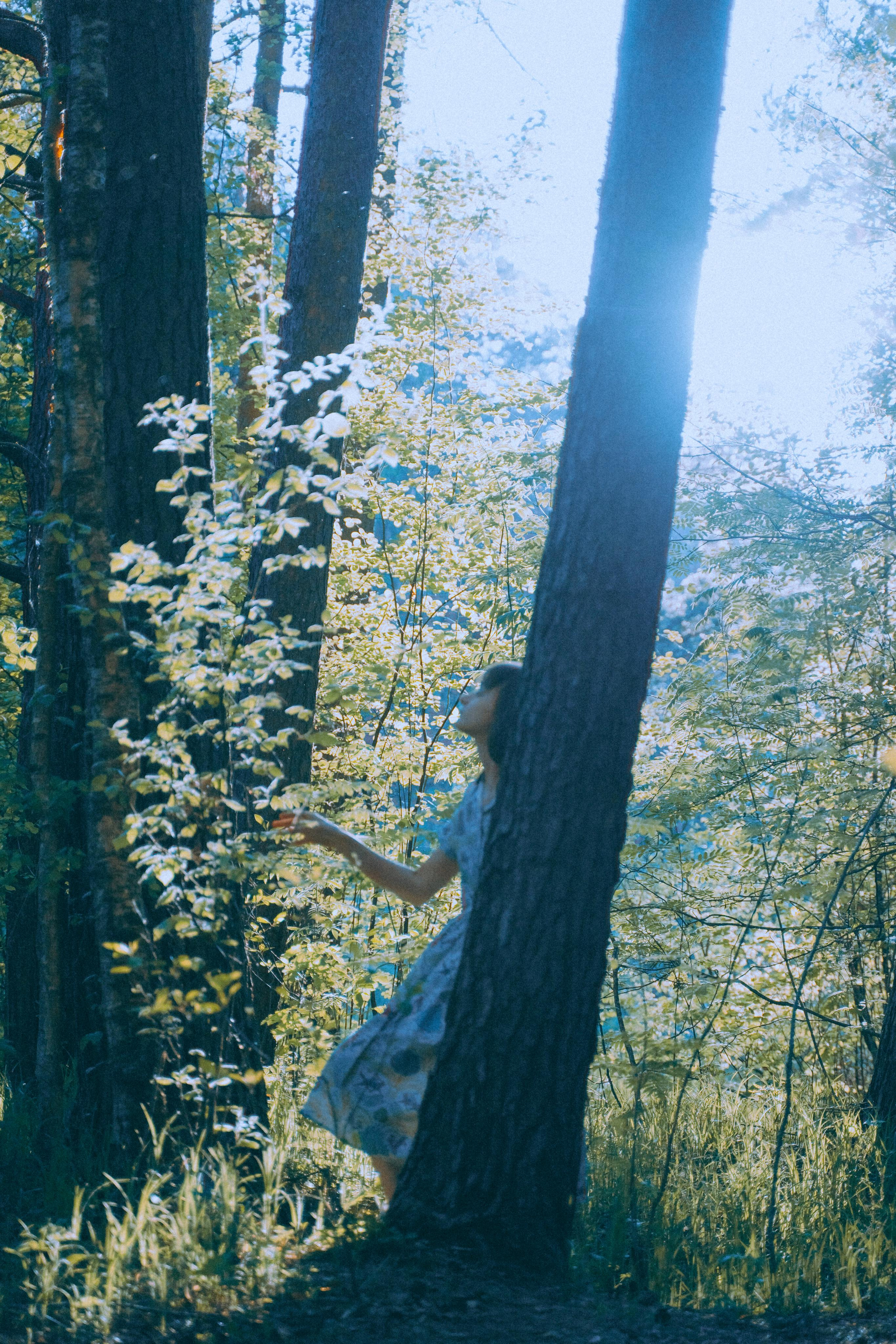 О птицах сказки. Алиса Аницкая