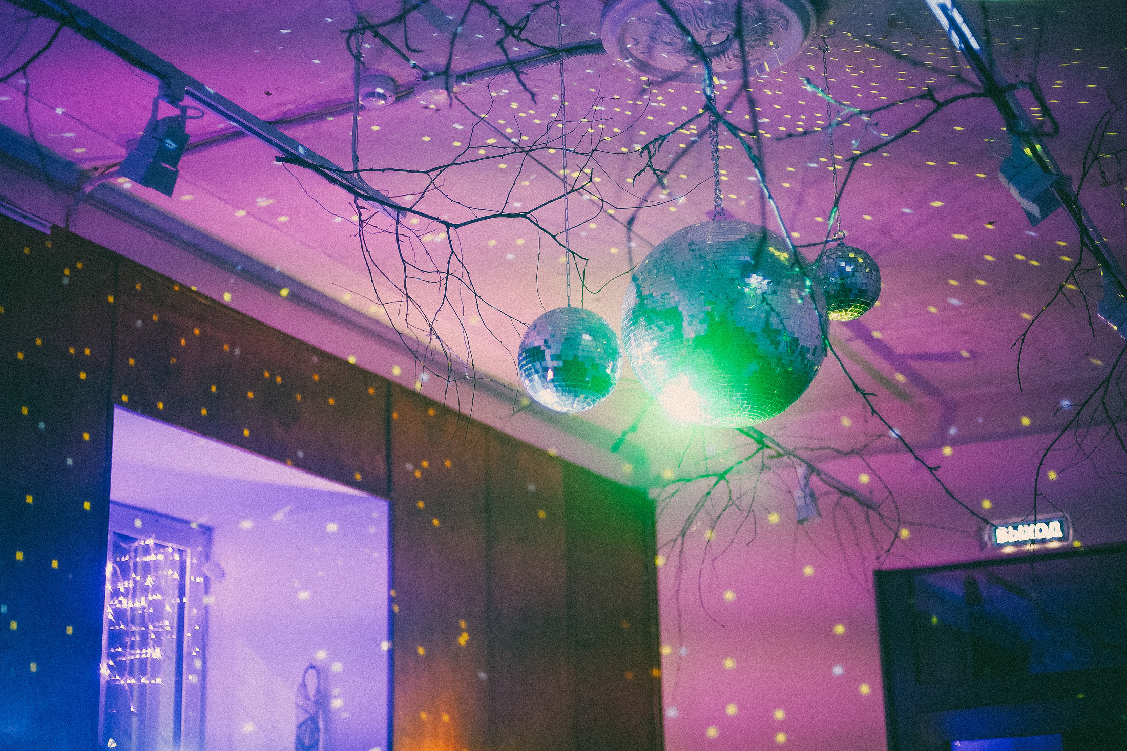 Мираж. сон. лес. Алиса Аницкая