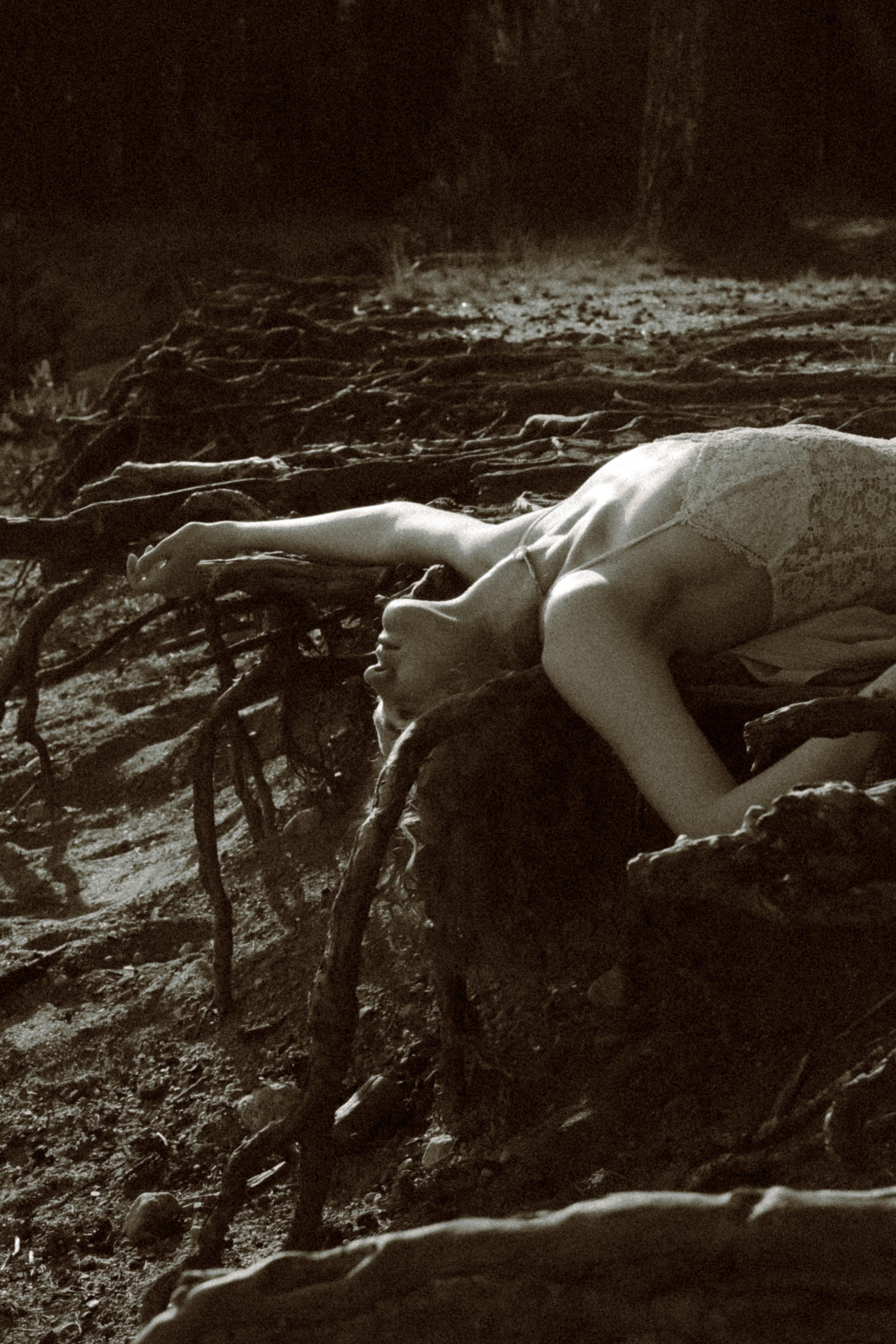 Прилетит и заберёт. Алиса Аницкая