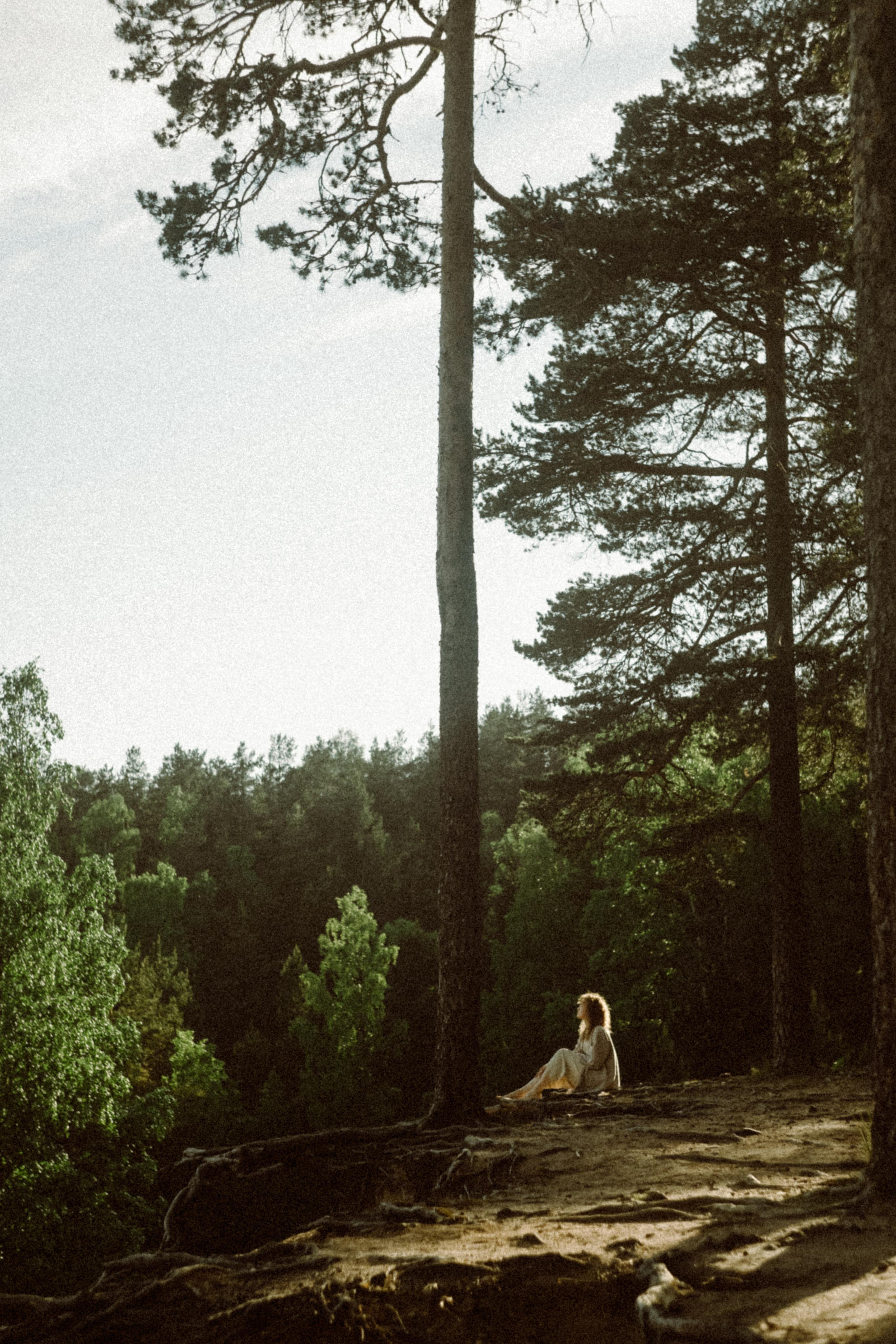Прилетит и заберёт. Алиса Аницкая