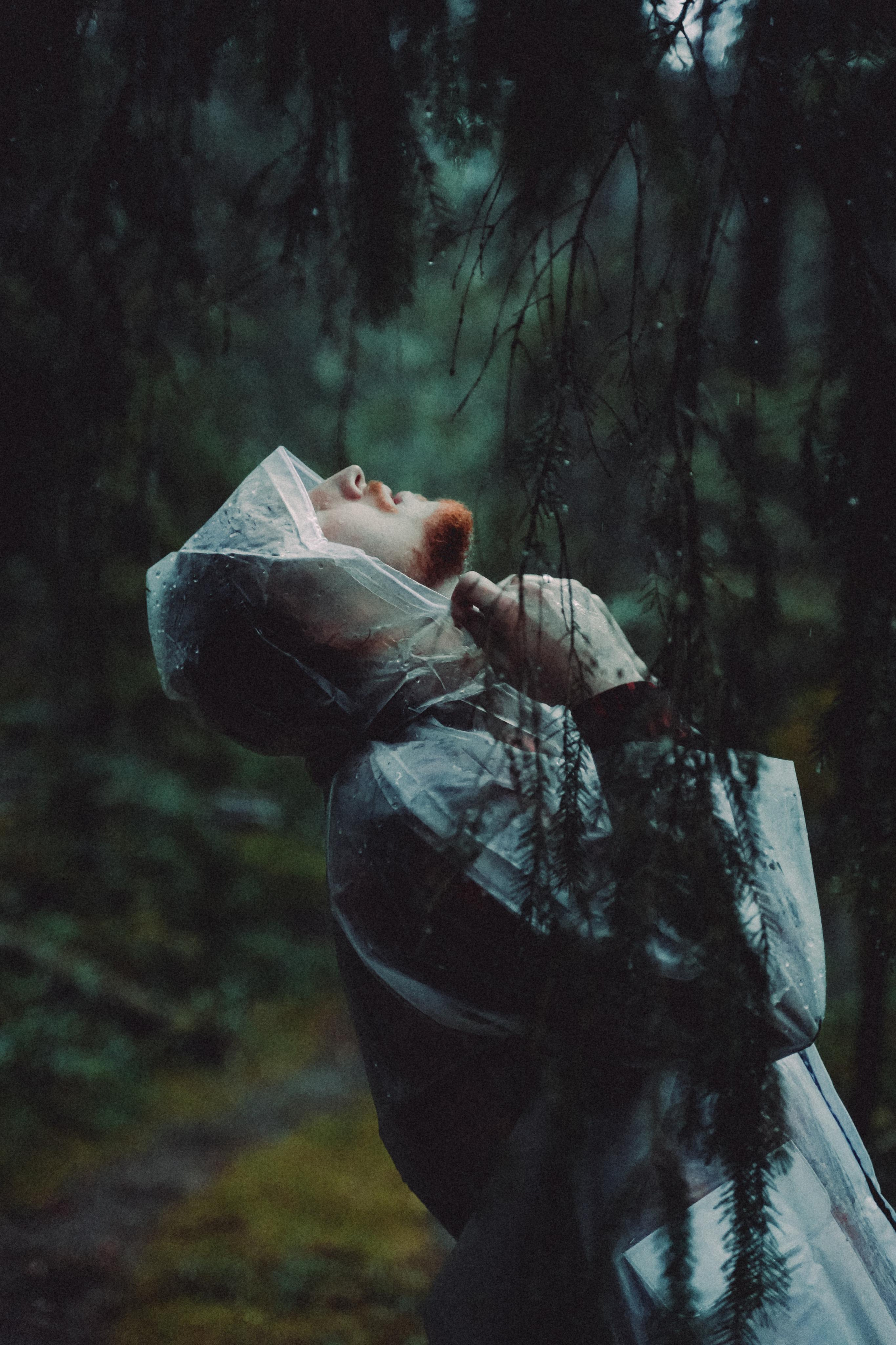 Тишина. Алиса Аницкая