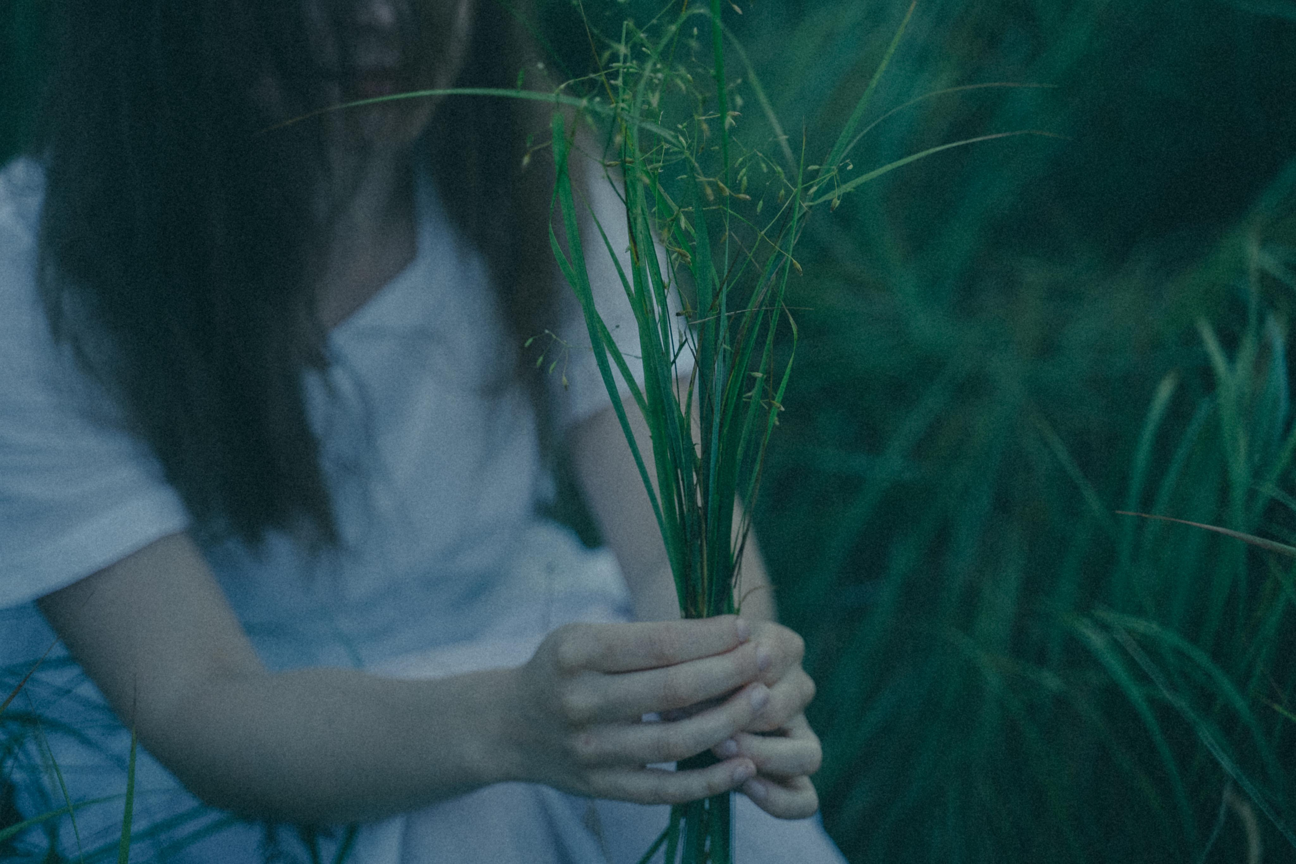 Исчезновение. Алиса Аницкая