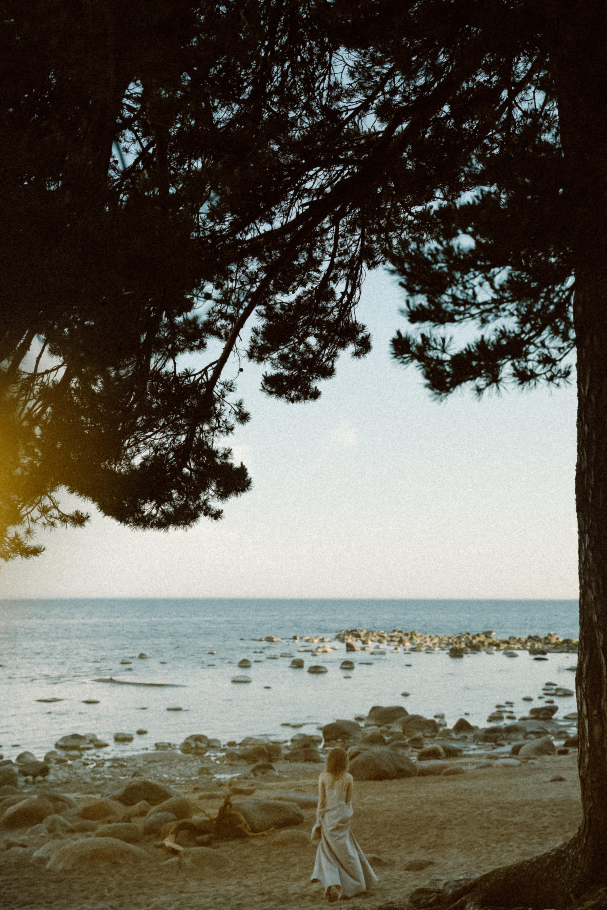 Прилетит и заберёт. Алиса Аницкая