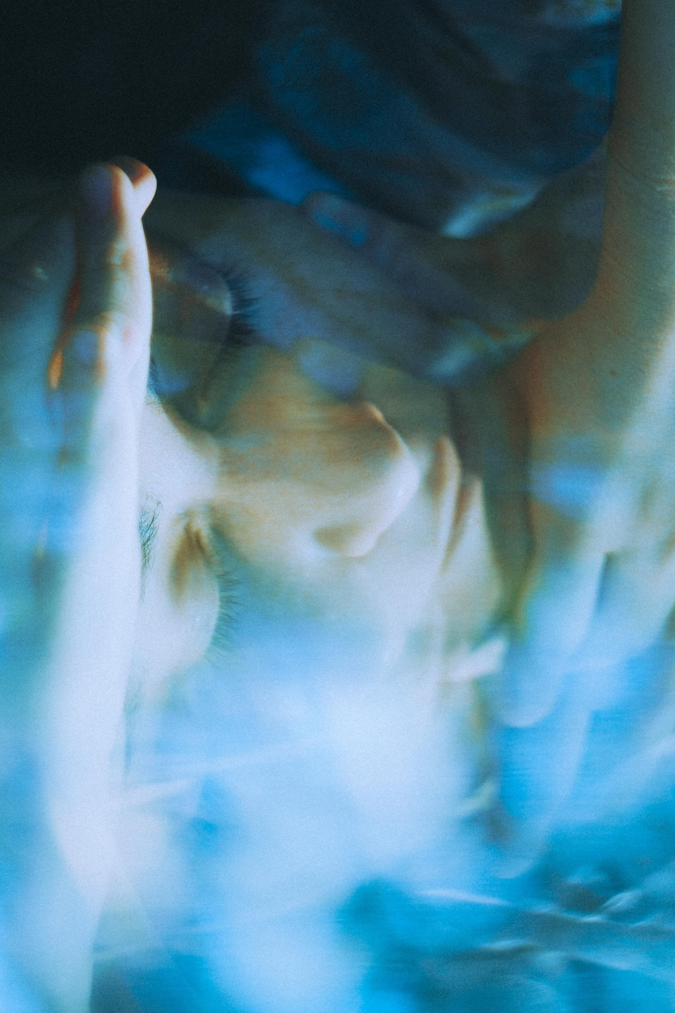 О птицах сказки. Алиса Аницкая