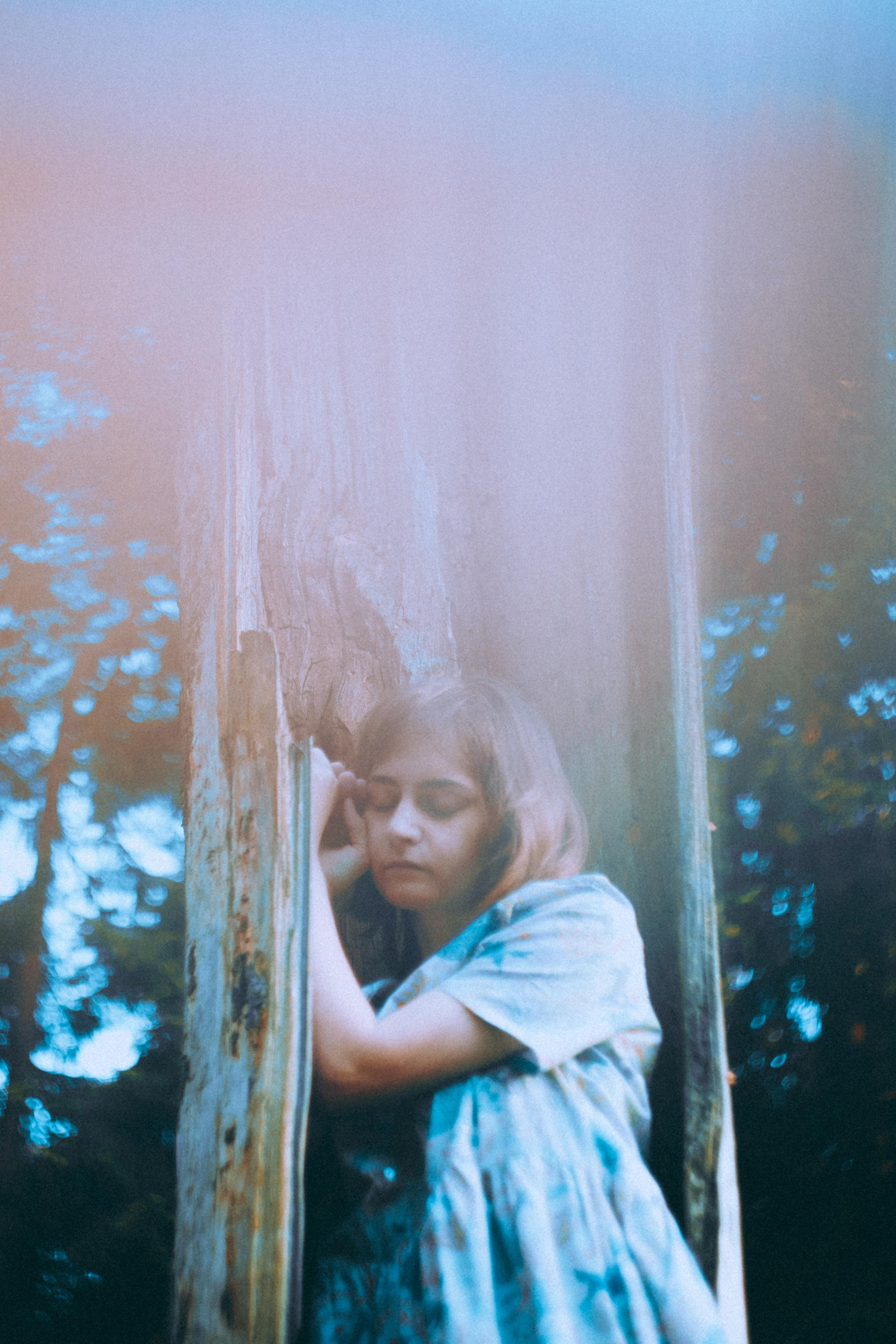 О птицах сказки. Алиса Аницкая