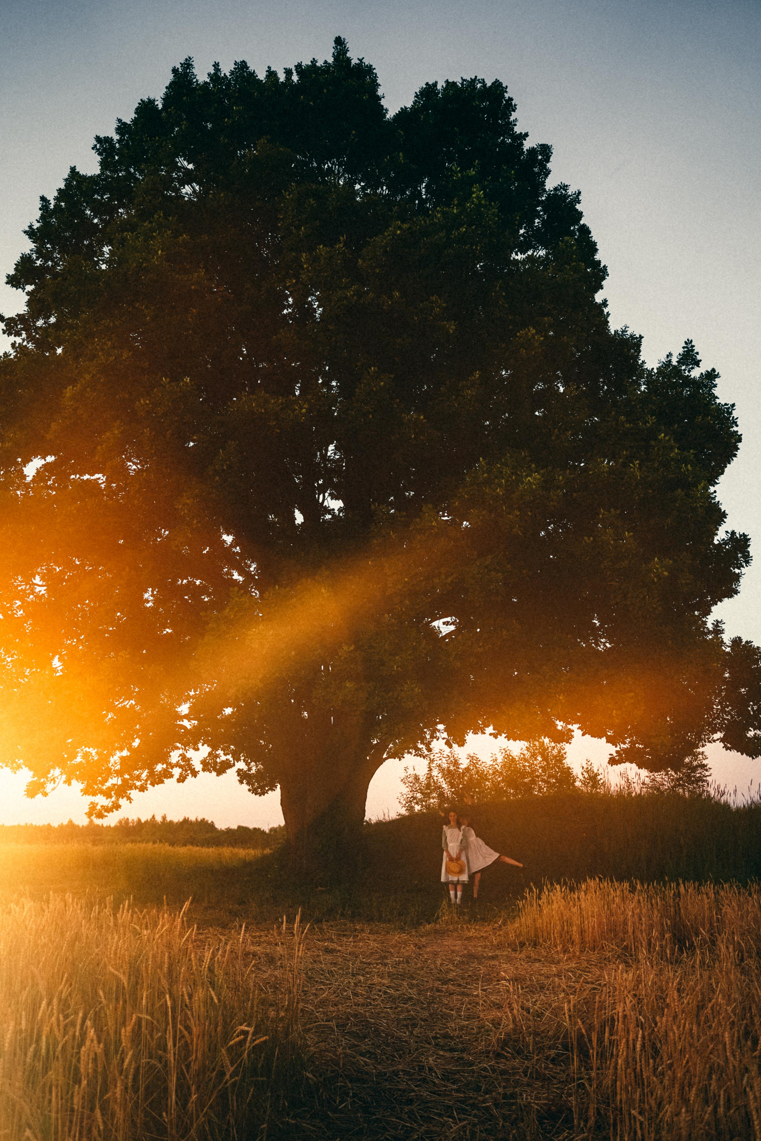 Из зелёных крыш. Алиса Аницкая