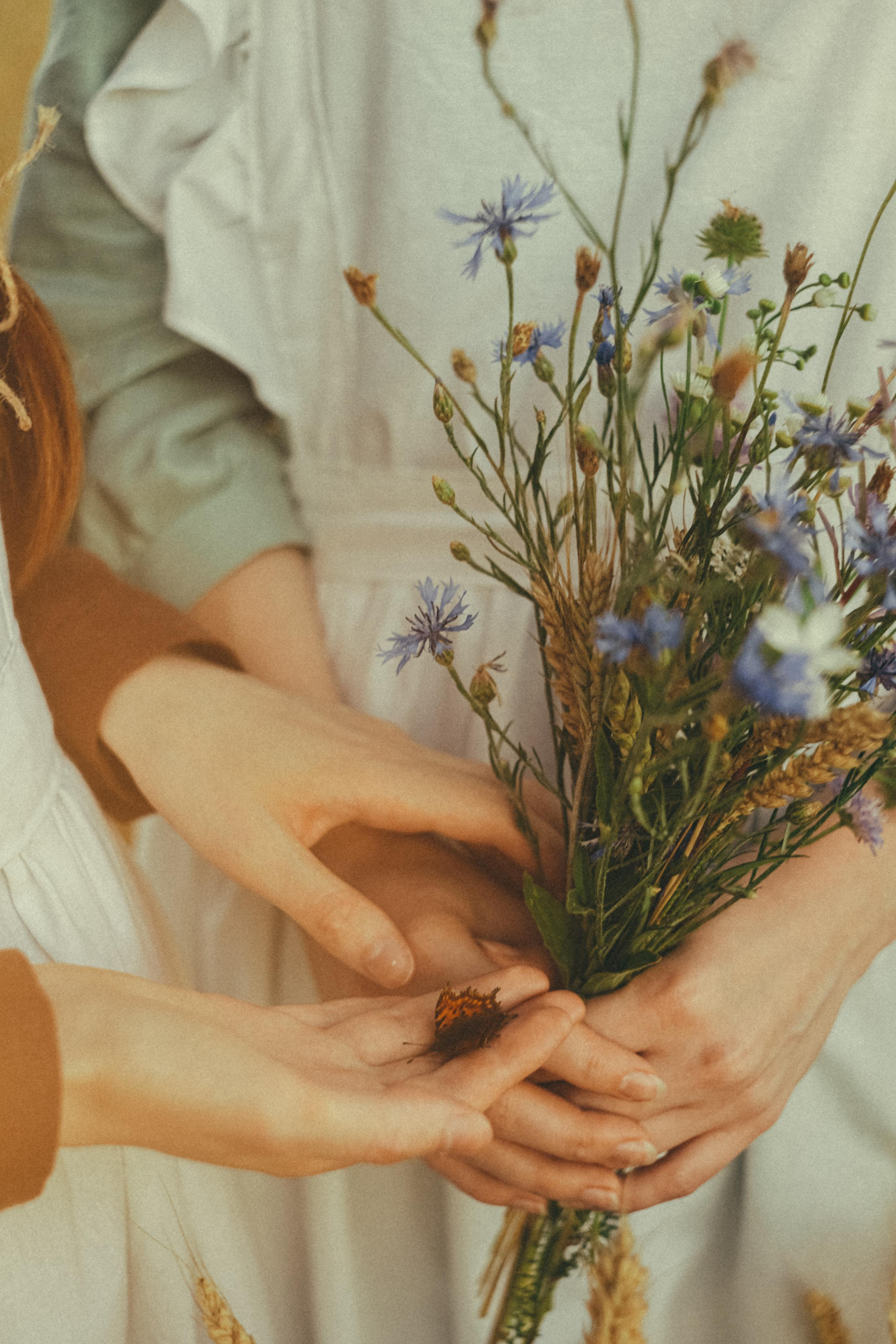 Из зелёных крыш. Алиса Аницкая