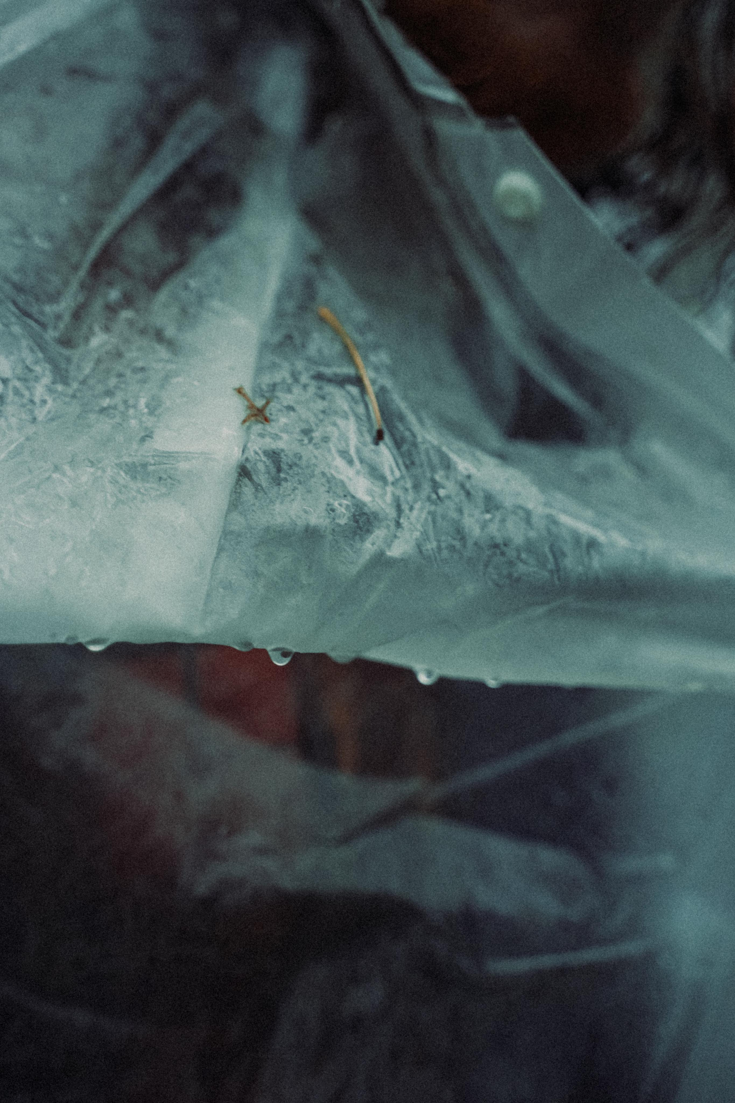 Тишина. Алиса Аницкая