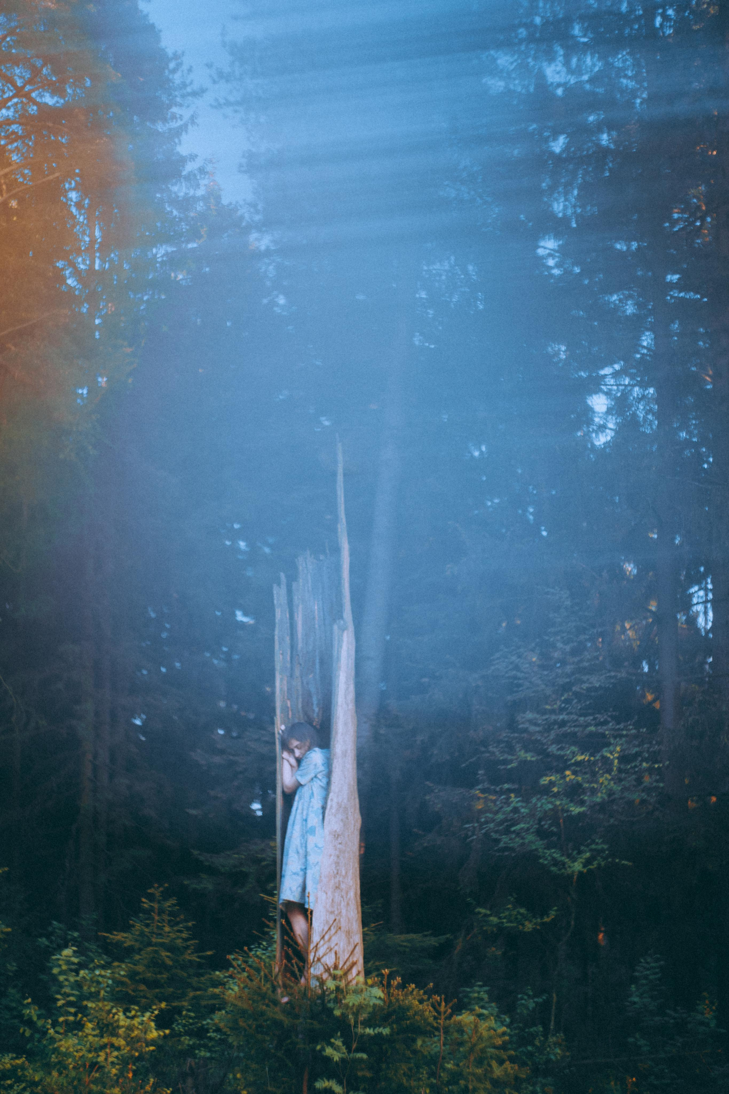 О птицах сказки. Алиса Аницкая