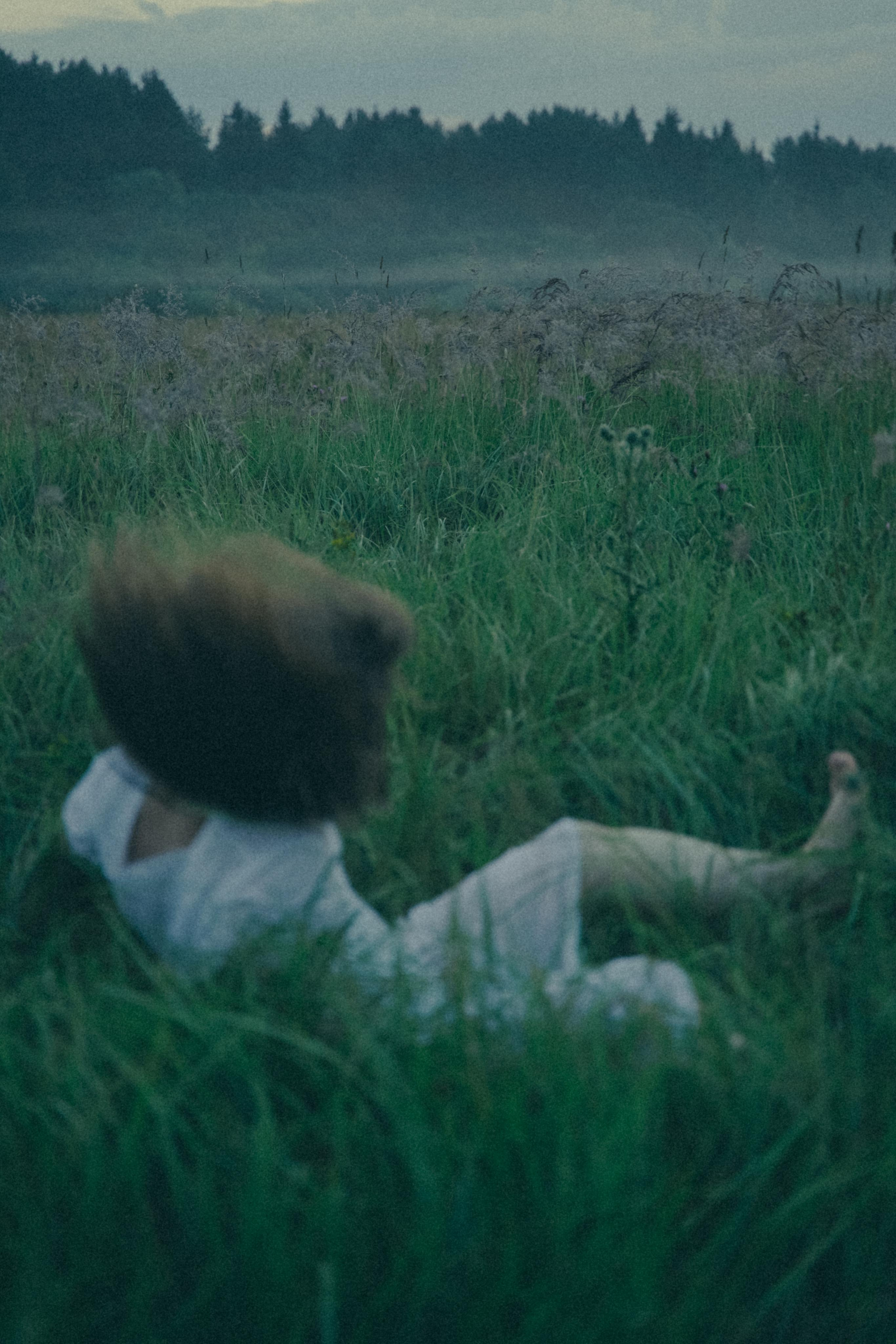 Исчезновение. Алиса Аницкая