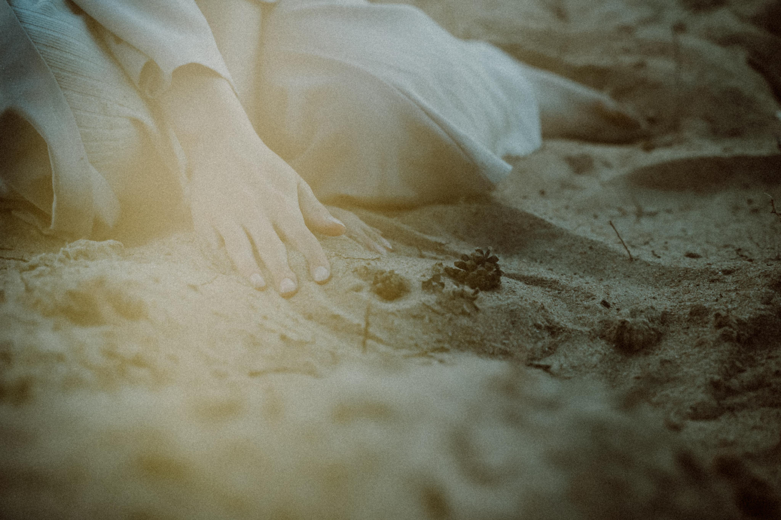 Прилетит и заберёт. Алиса Аницкая