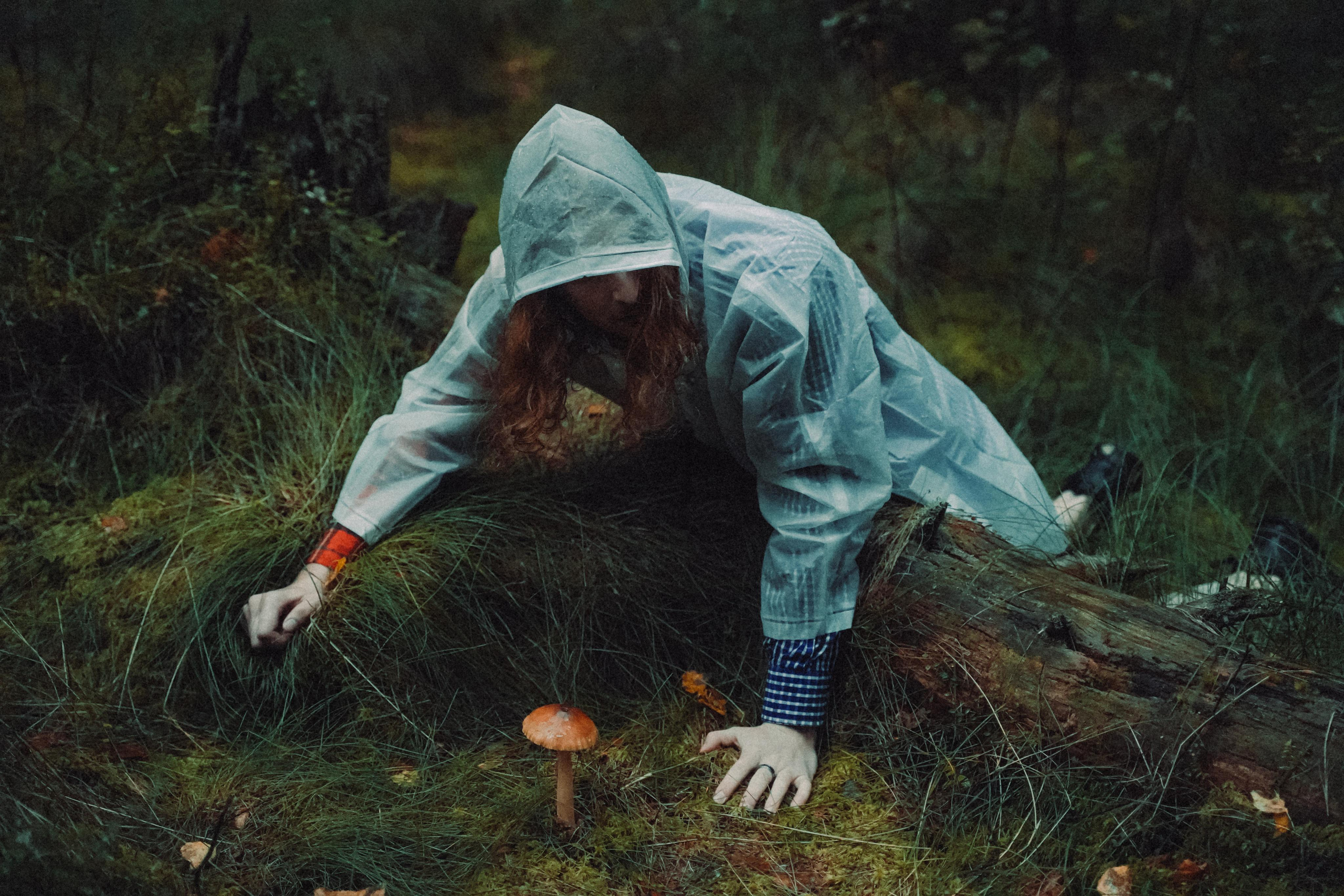 Тишина. Алиса Аницкая