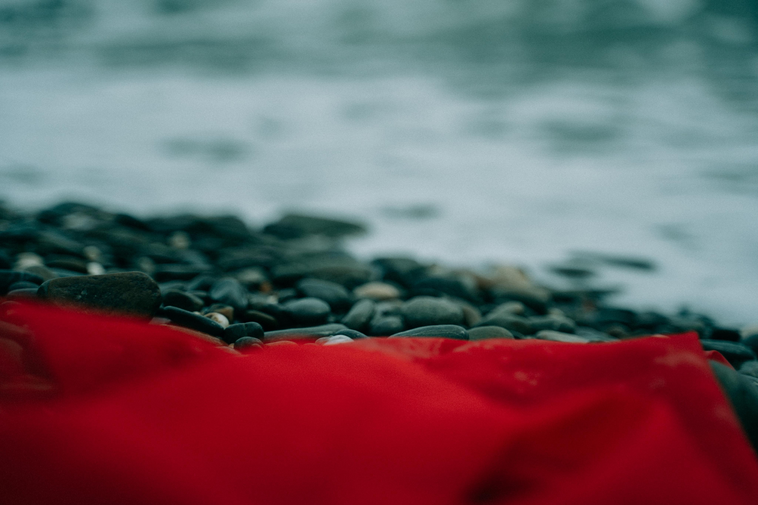 Расскажи мне о своей катастрофе. Алиса Аницкая