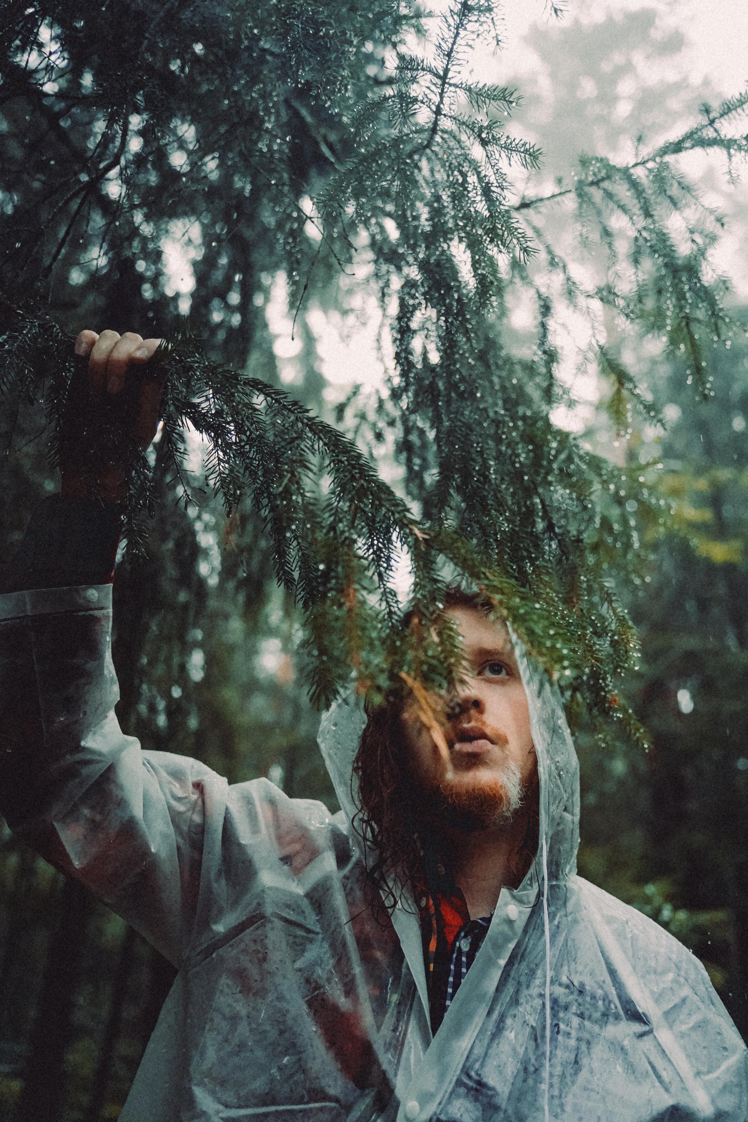 Тишина. Алиса Аницкая