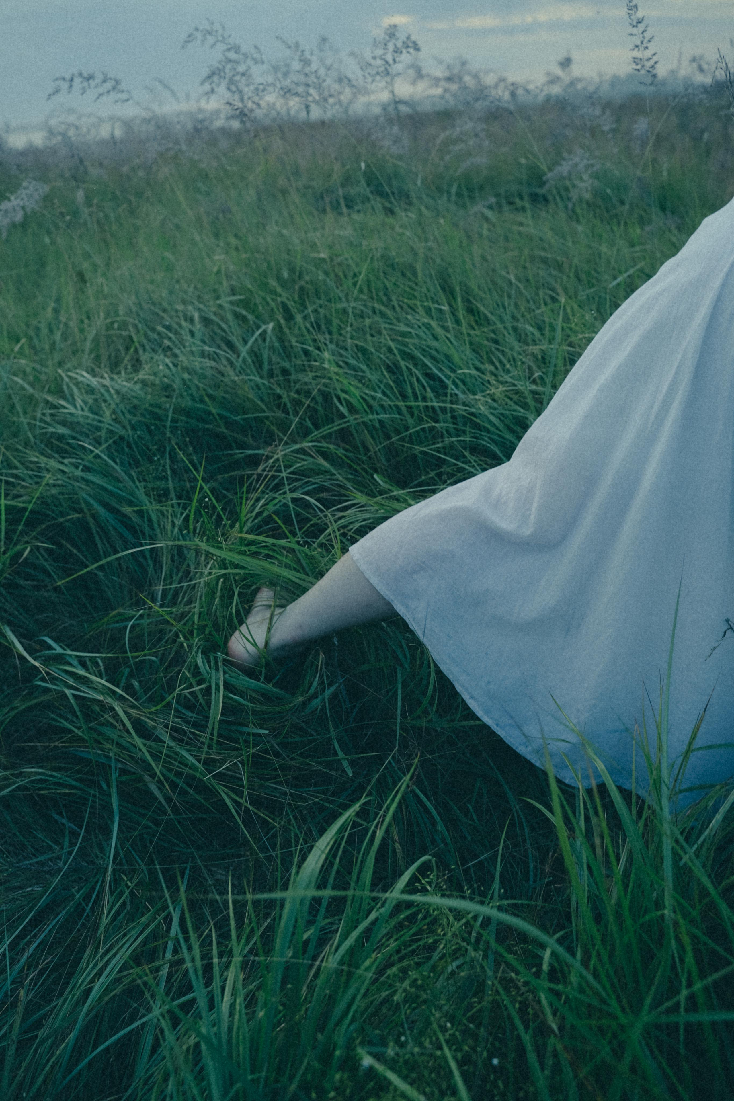 Исчезновение. Алиса Аницкая