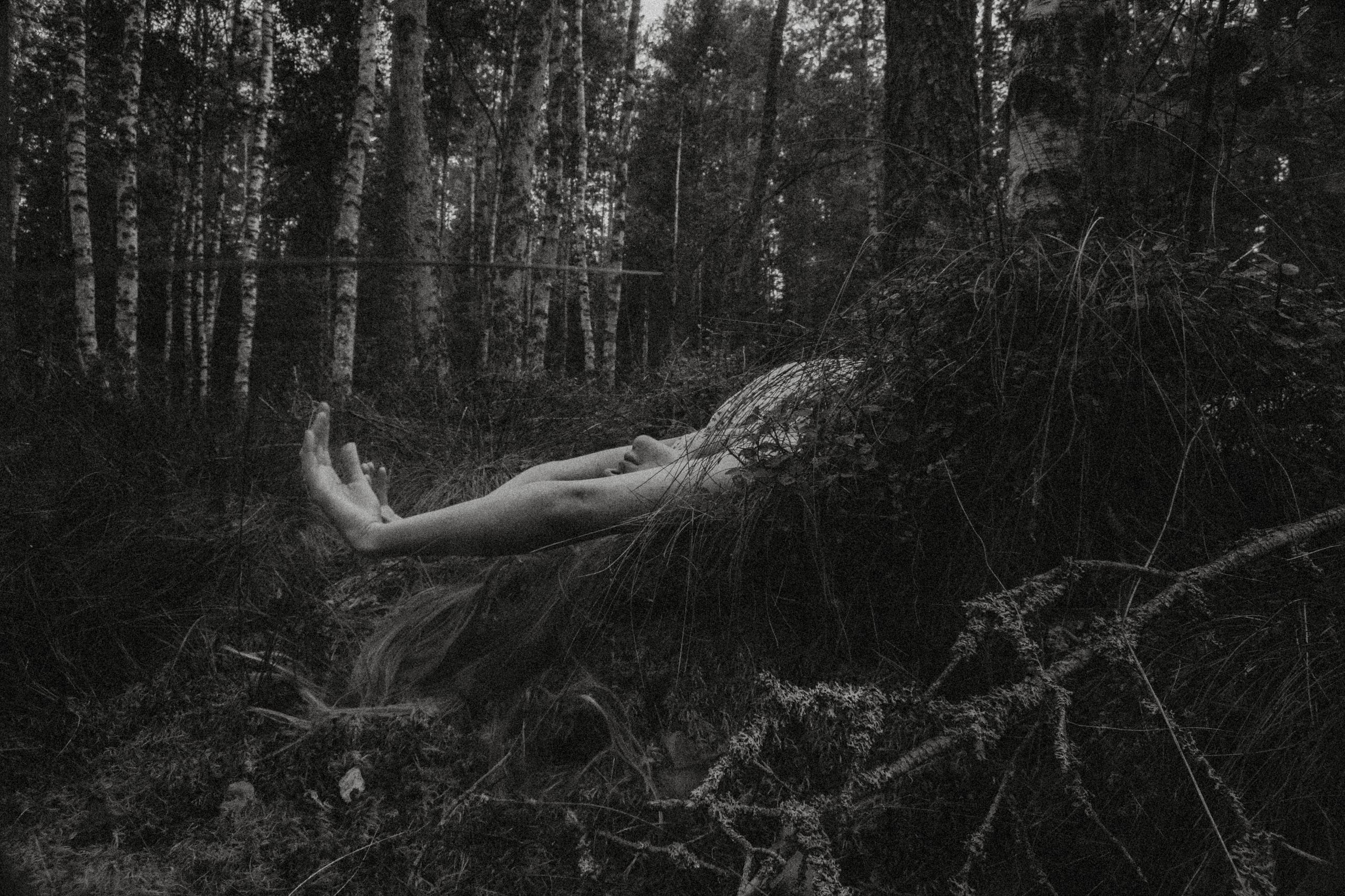 Поглощает — позволь и будь. Алиса Аницкая